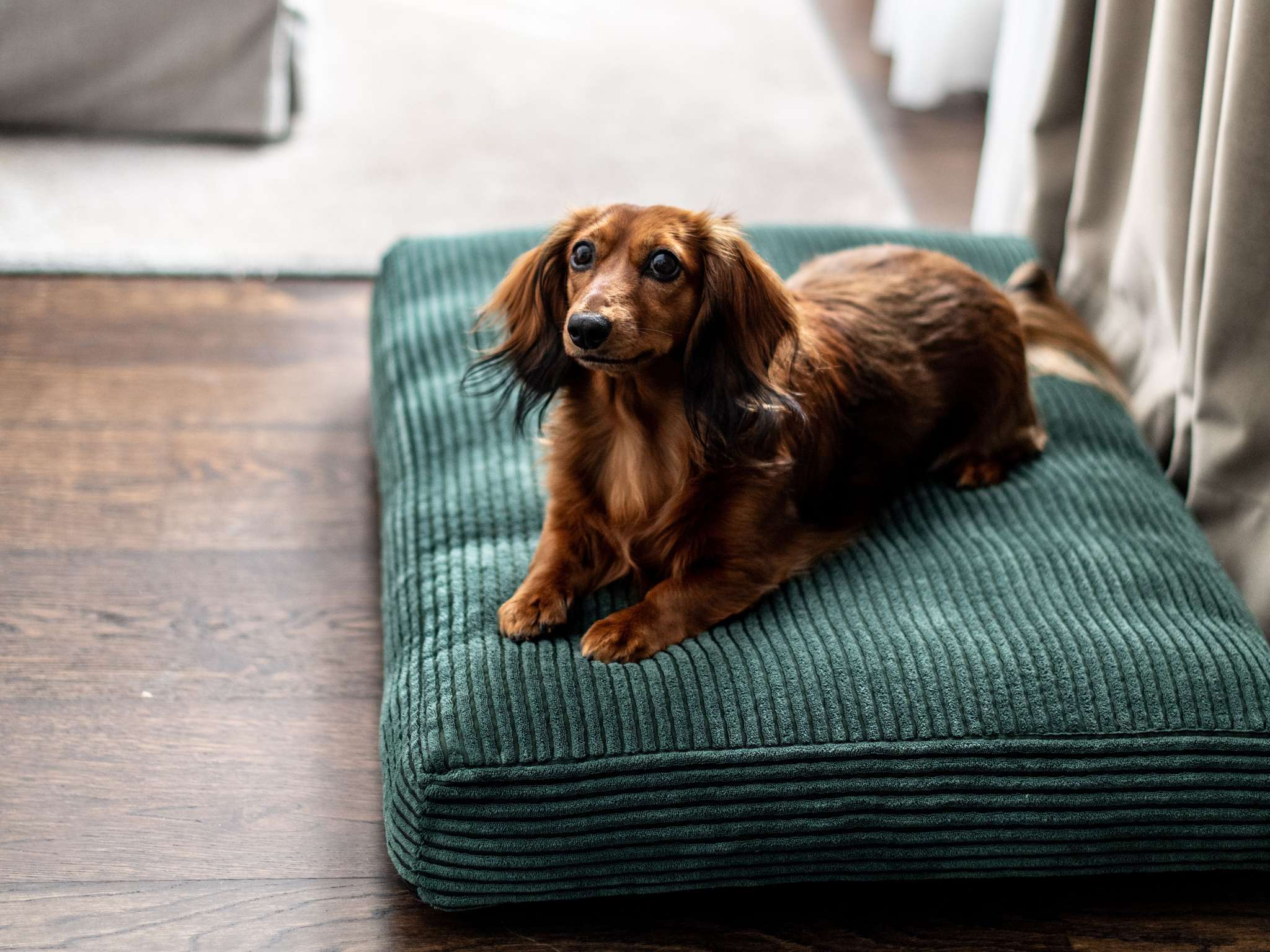 Foto - Le Louise Hotel Brussels - MGallery Collection