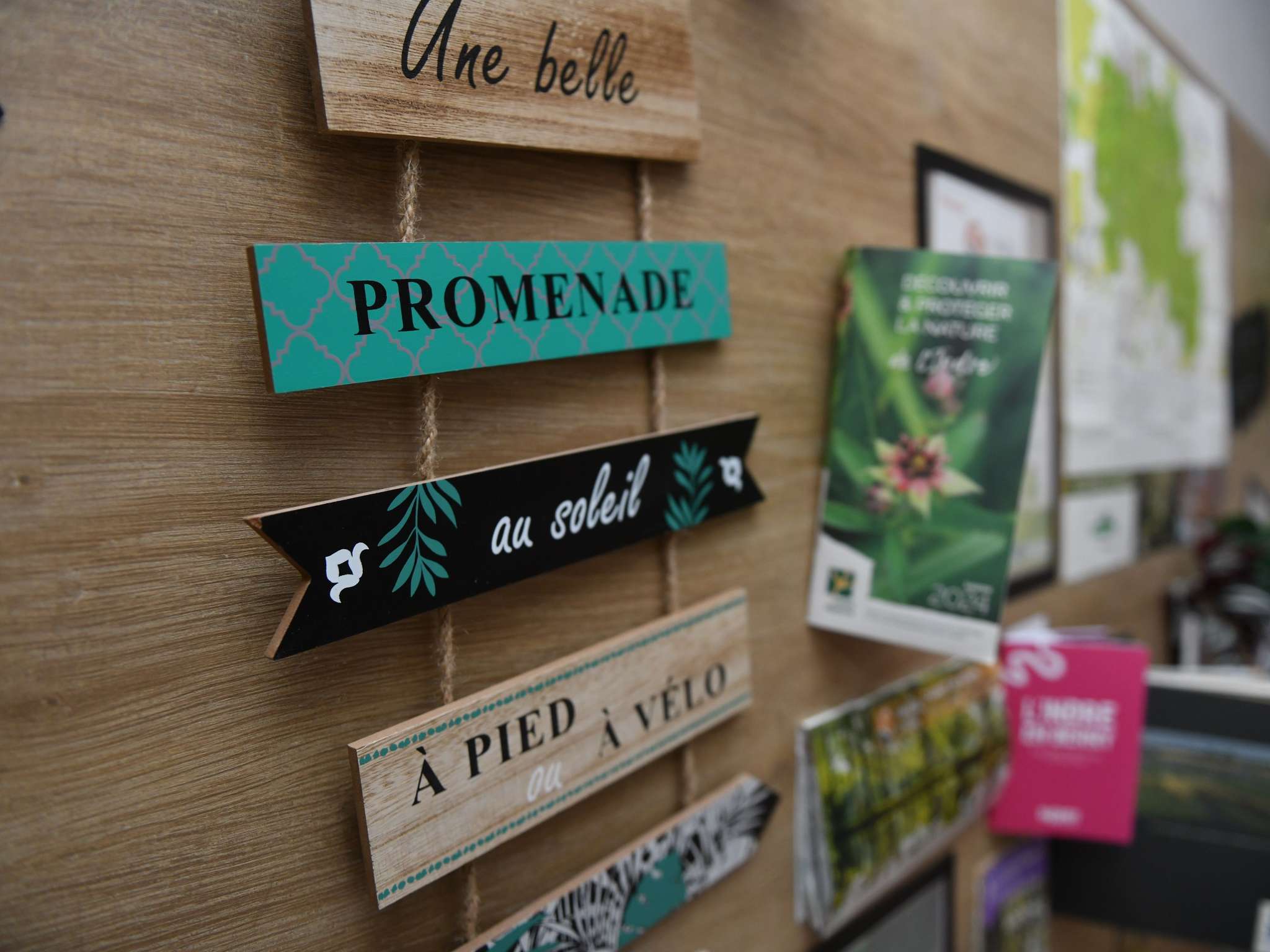 Foto - ibis Chateauroux