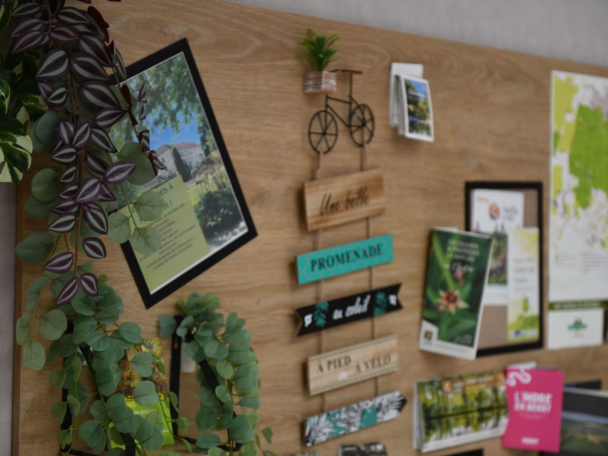 Foto - ibis Chateauroux