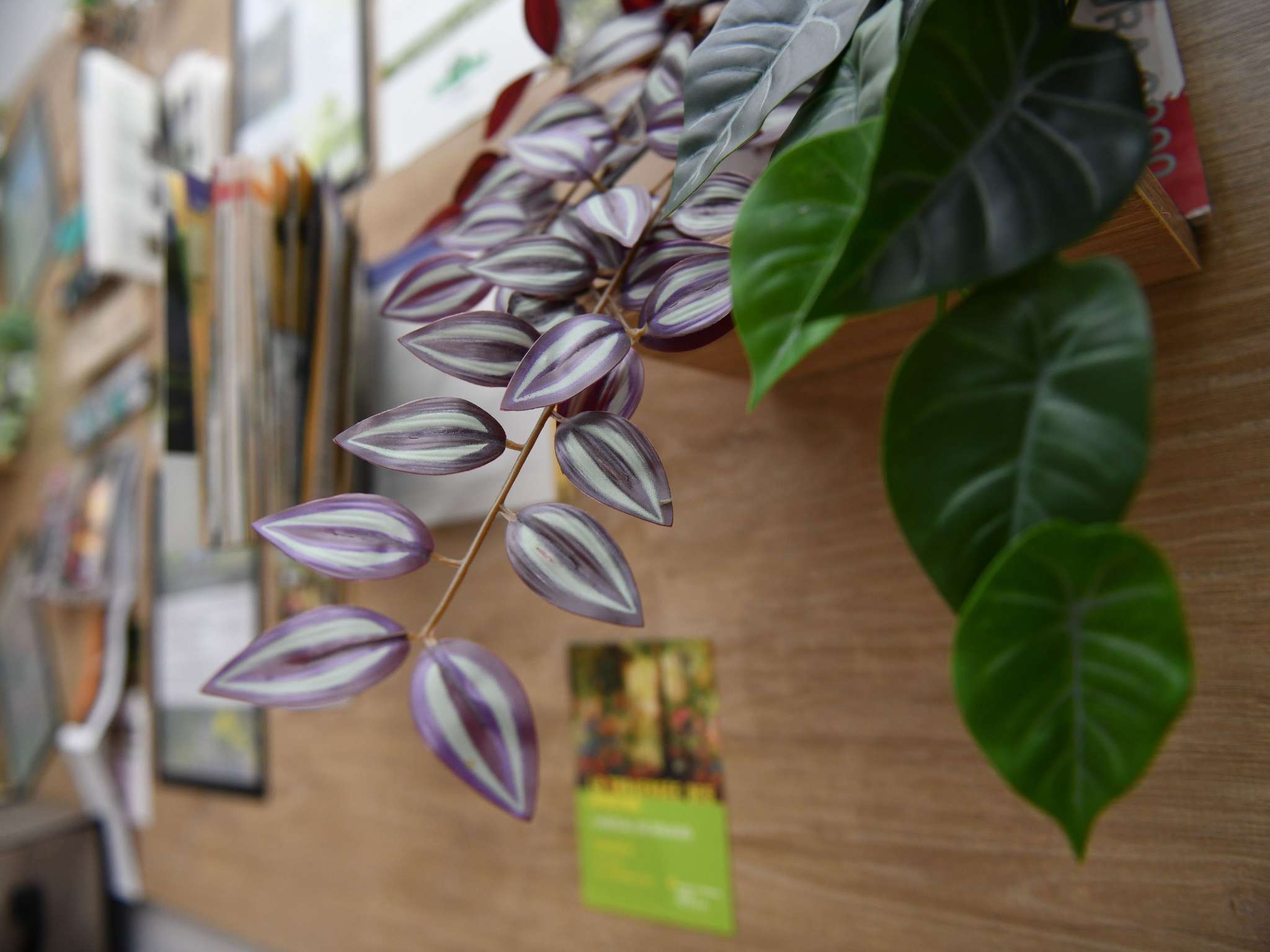 Foto - ibis Chateauroux