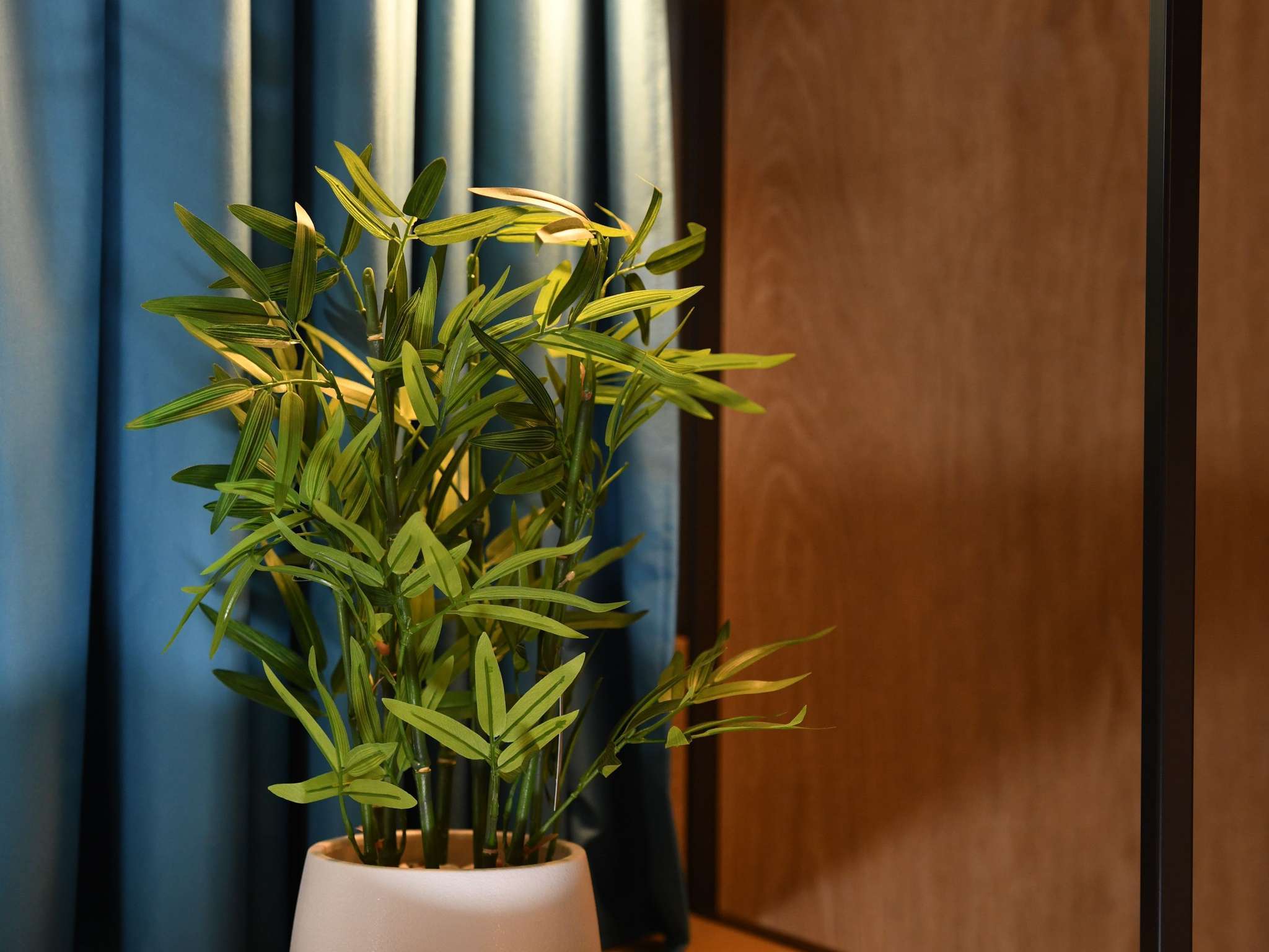 Photo - ibis Chateauroux