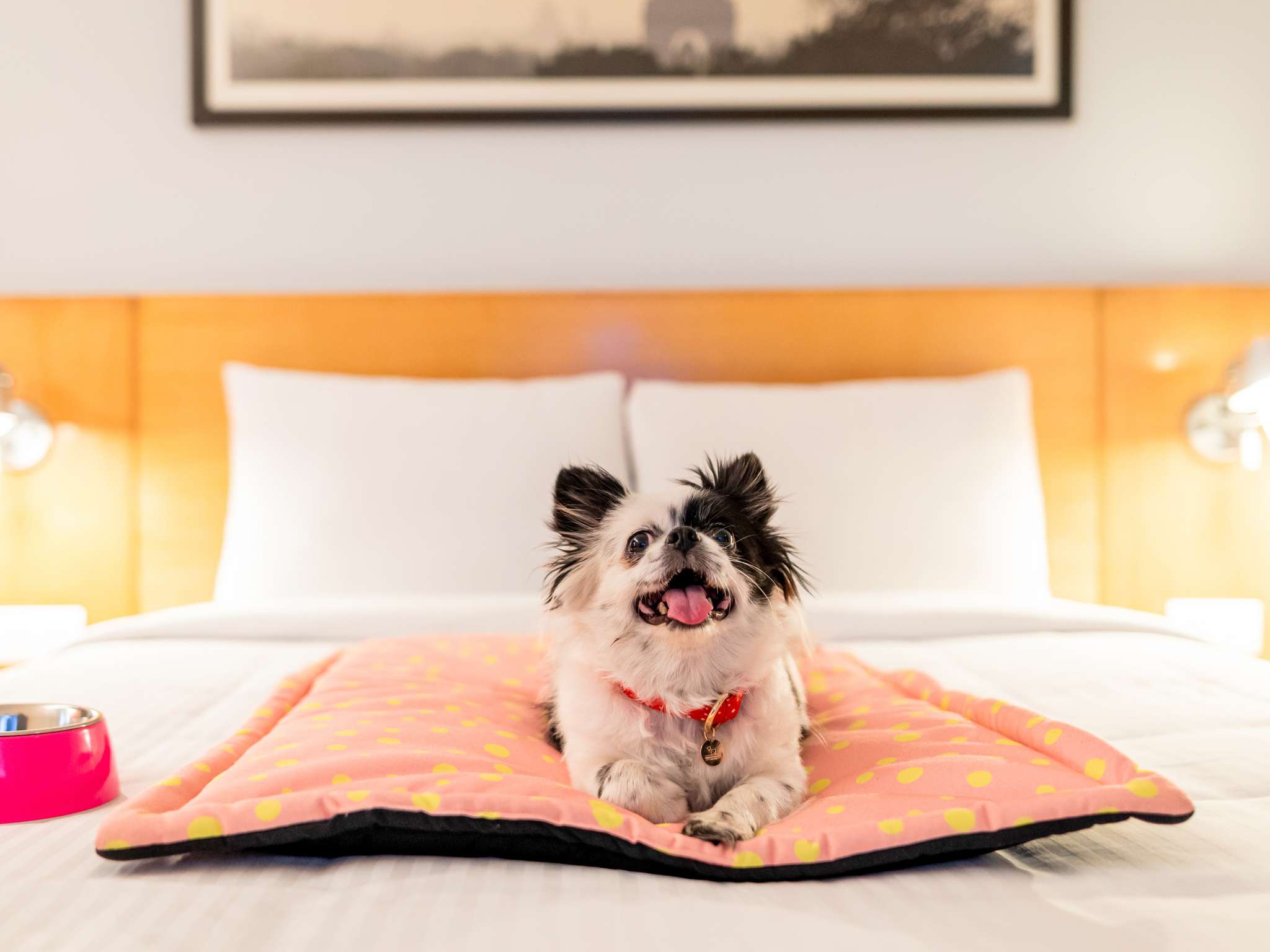 Photo - ibis Mainz City