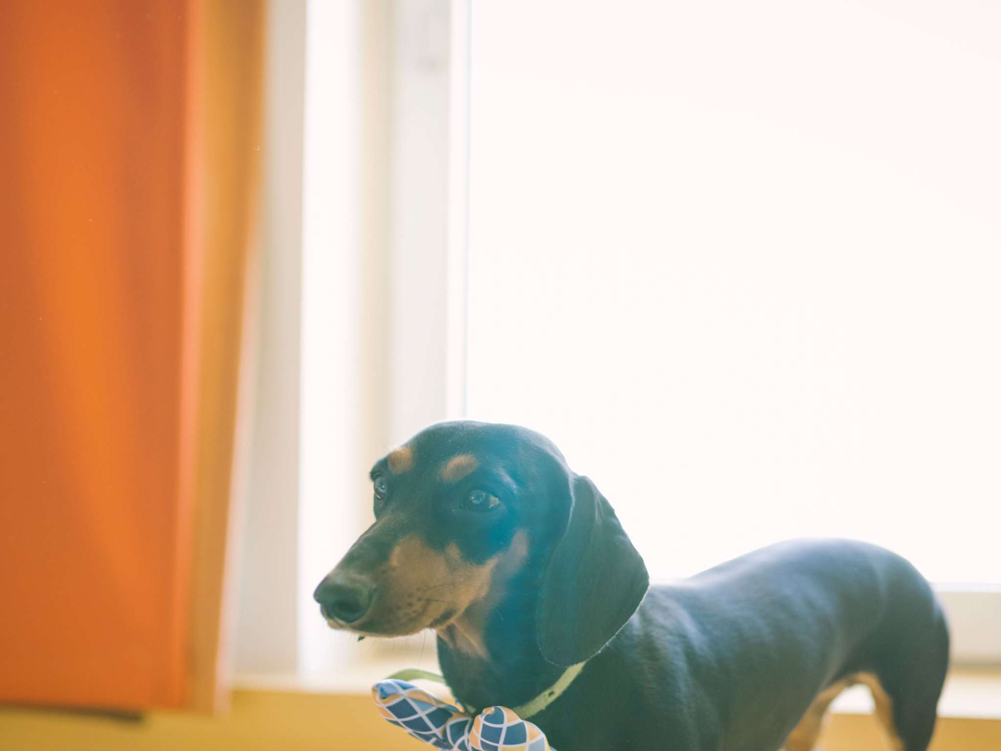 Photo - ibis budget Hotel Brussels Airport