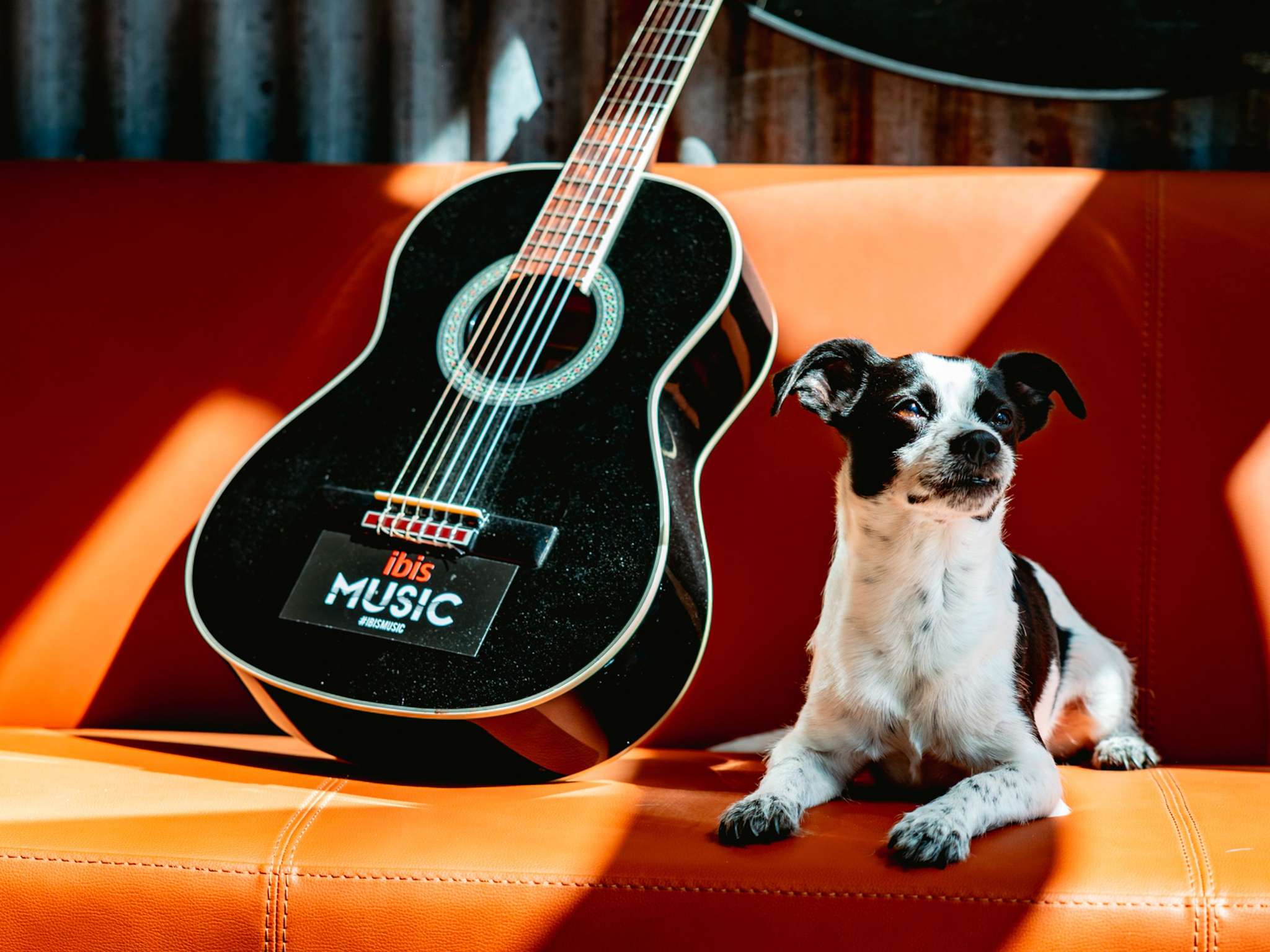 Foto - ibis Marseille Provence Aéroport