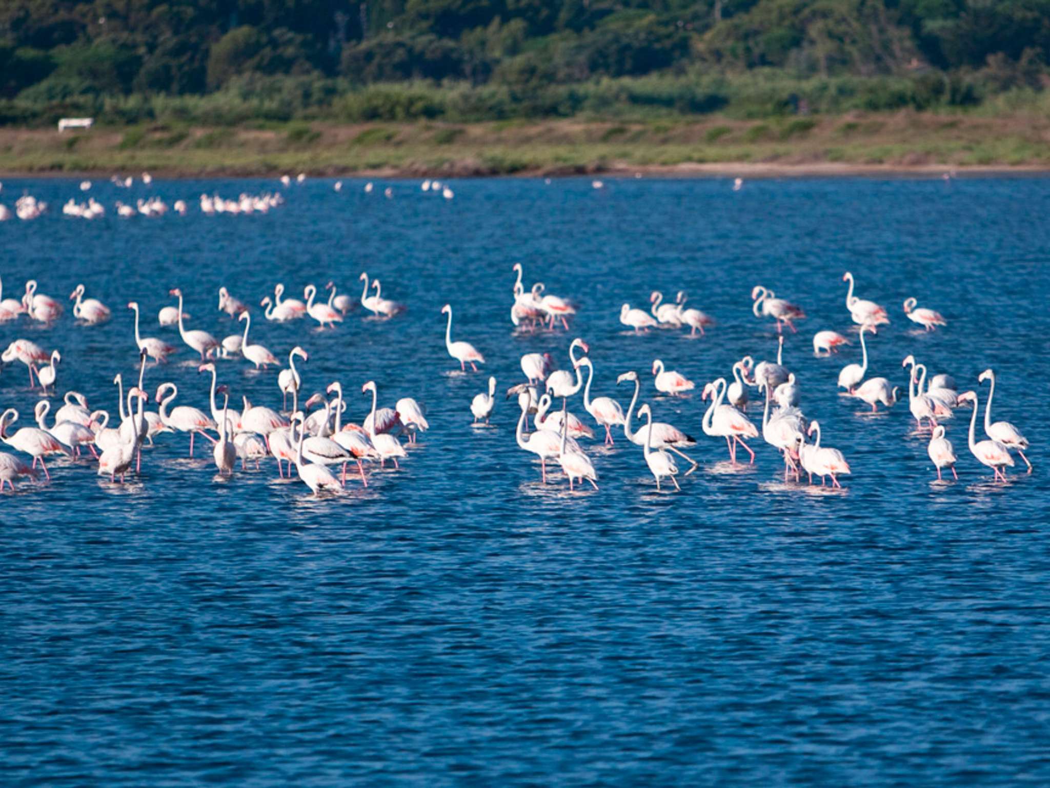 Foto - ibis Marseille Provence Aéroport