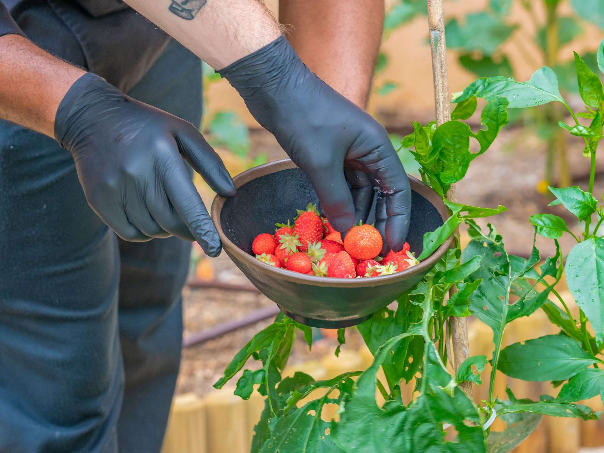 Foto - Mercure Antibes Sophia Antipolis