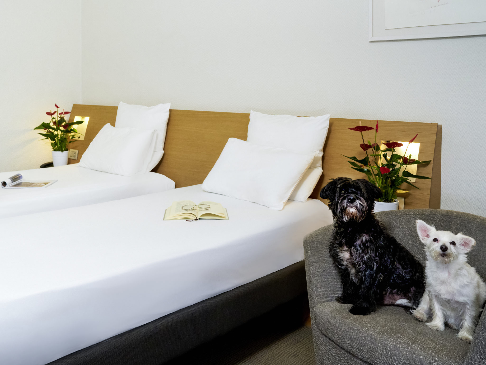 Foto - Novotel Milano Nord Ca' Granda