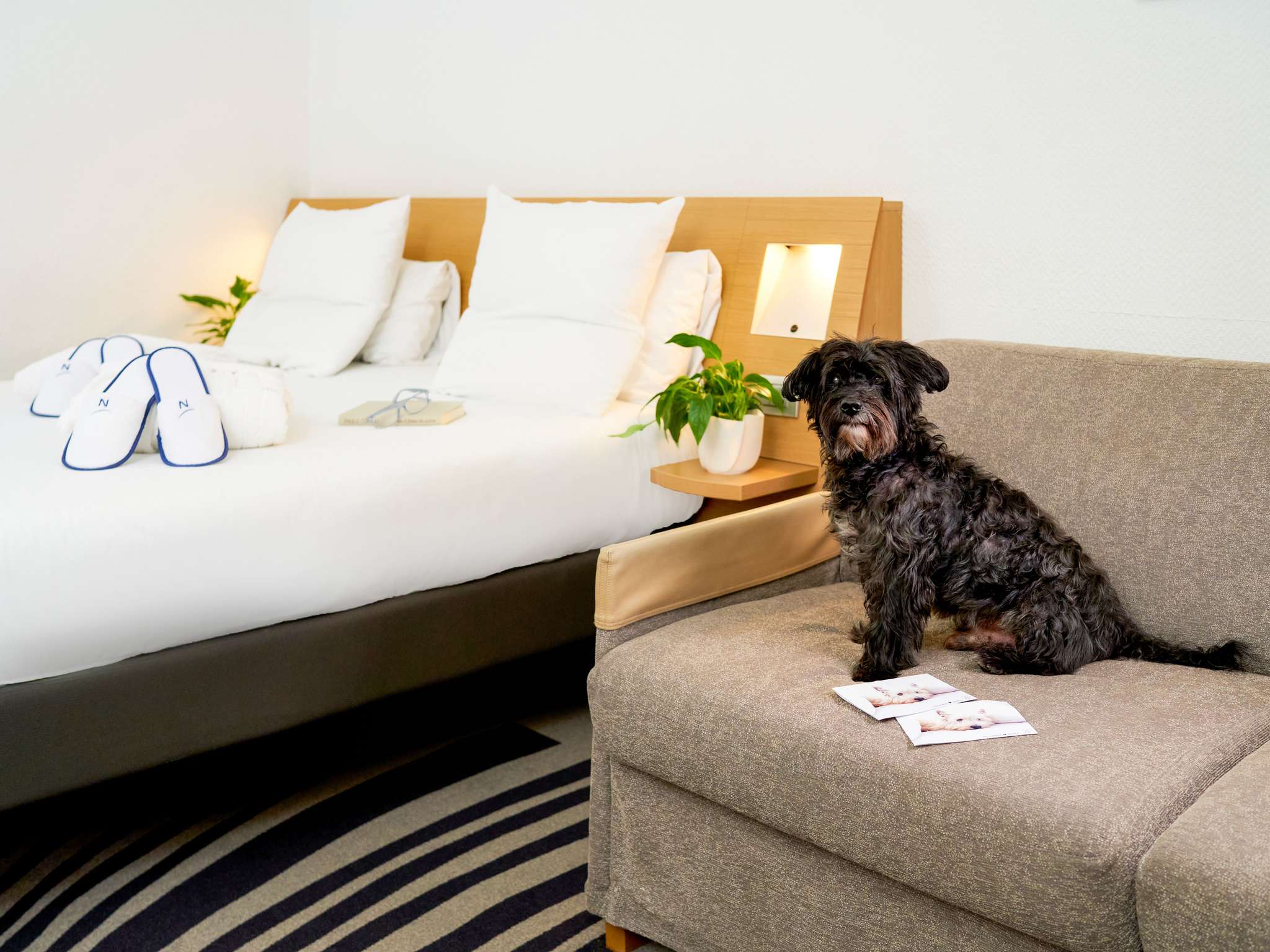 Foto - Novotel Milano Nord Ca' Granda