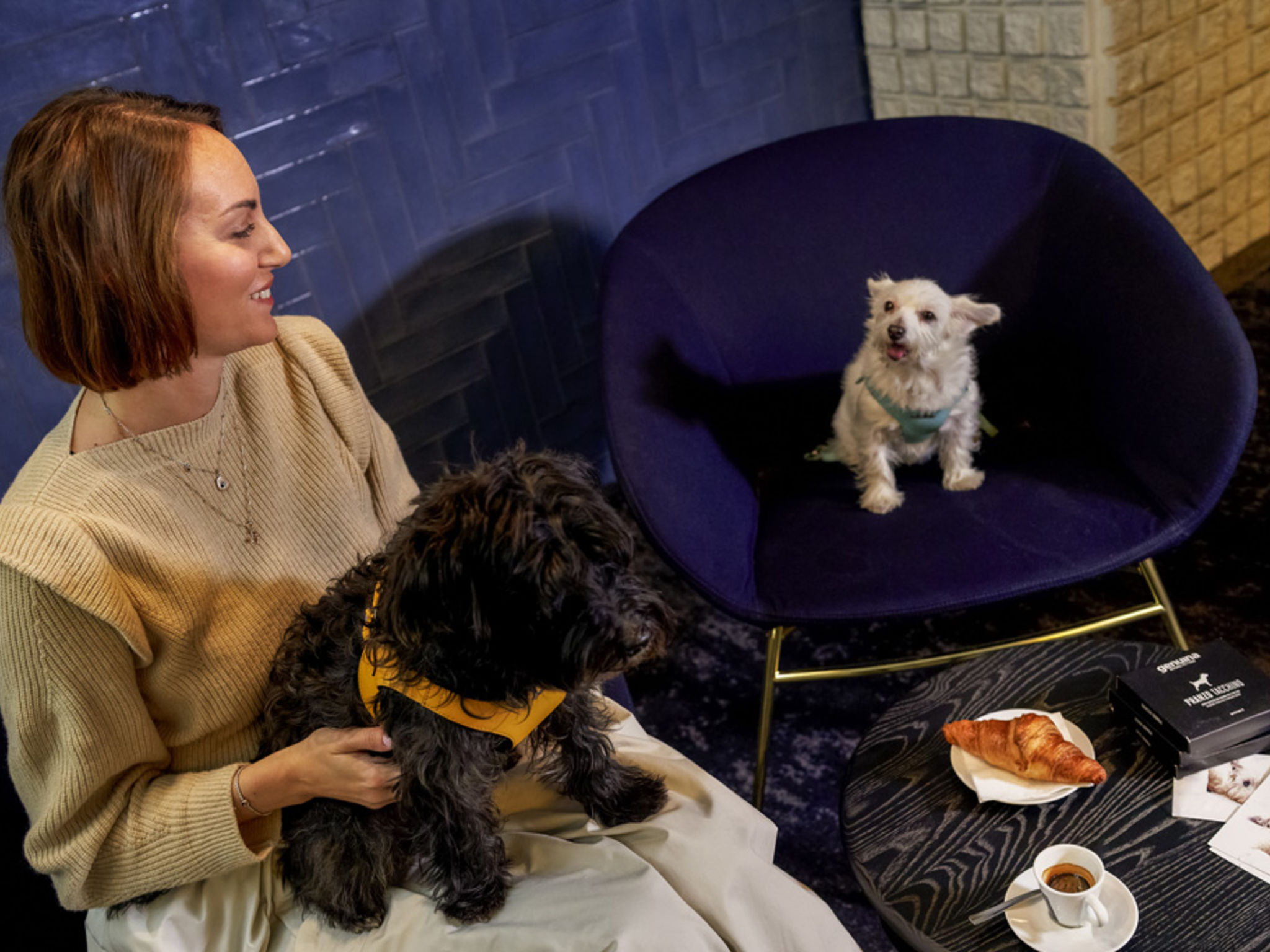 Foto - Novotel Milano Nord Ca' Granda