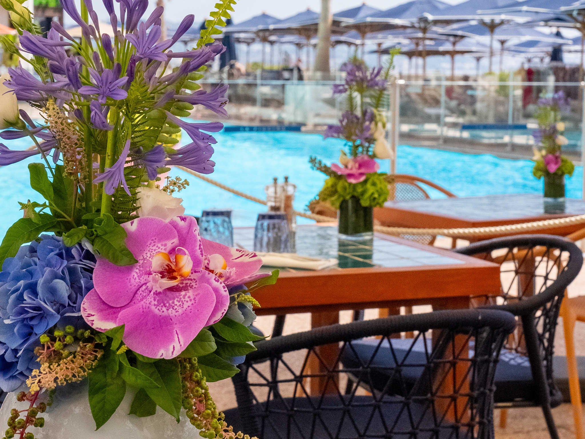 Photo - Pullman Cannes Mandelieu