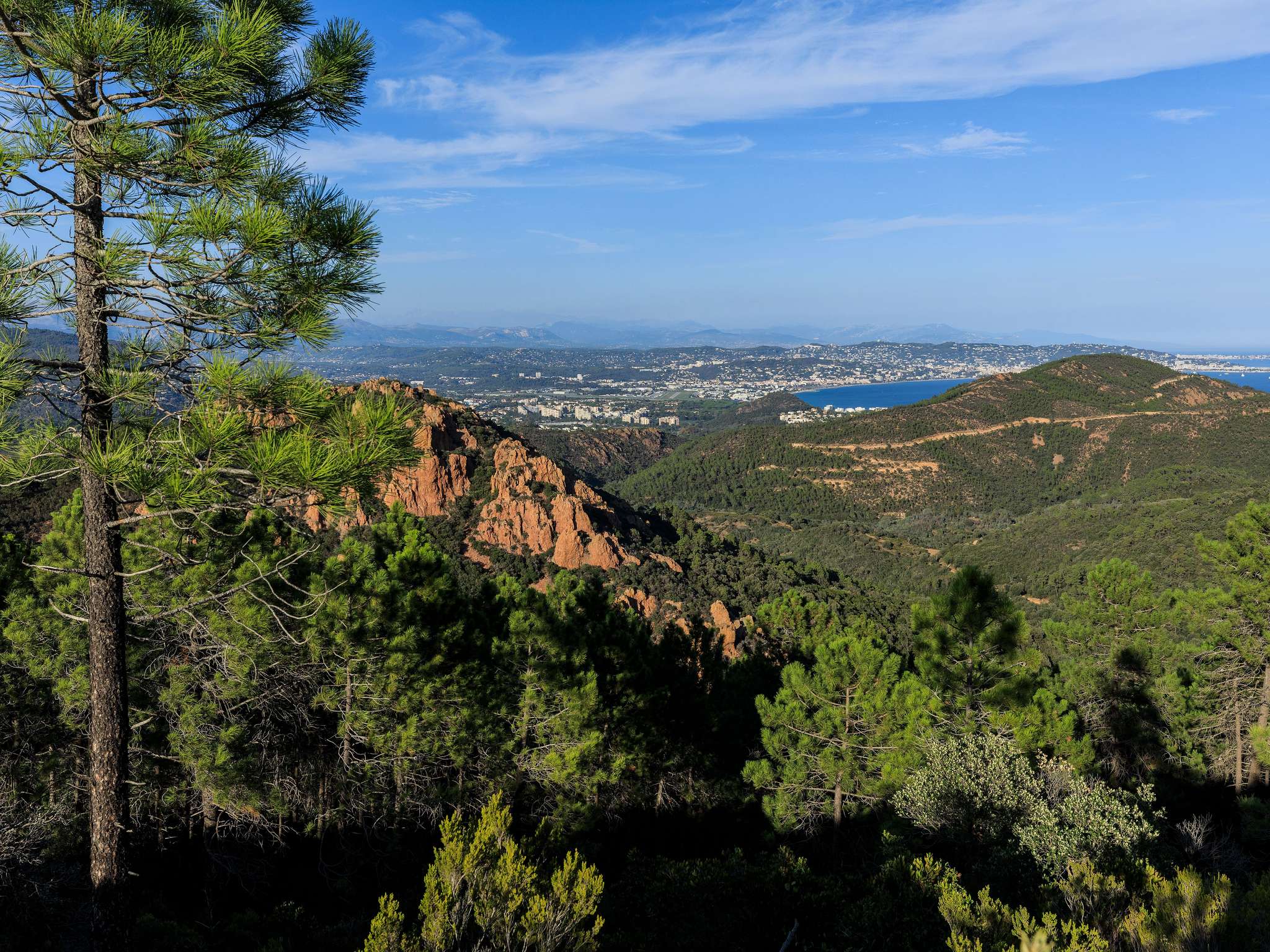 Photo - Pullman Cannes Mandelieu