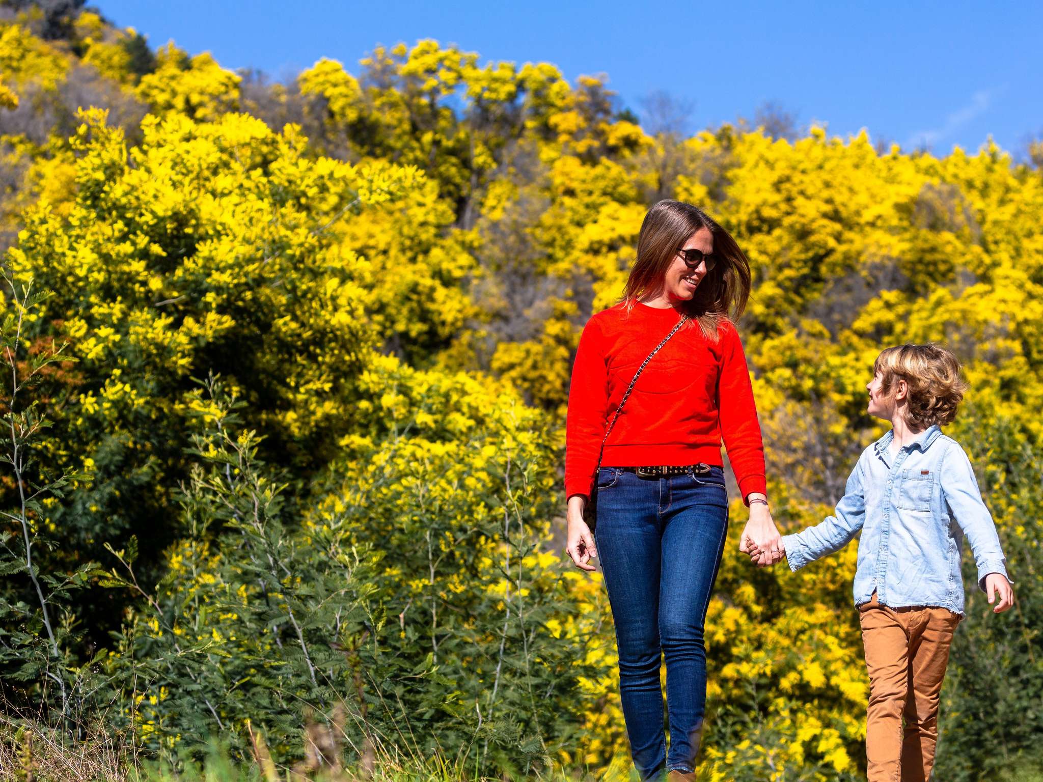 Photo - Pullman Cannes Mandelieu