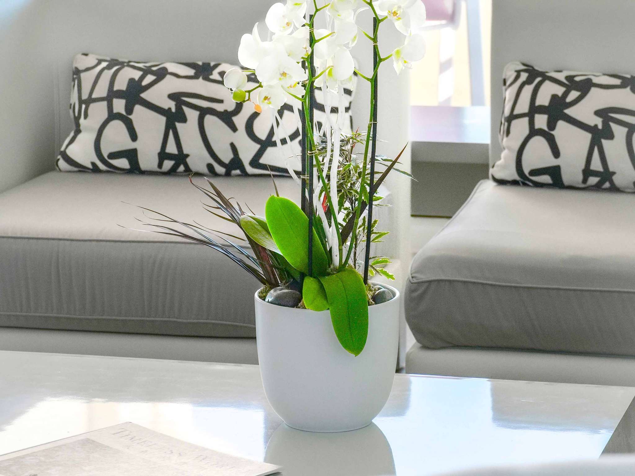 Photo - Pullman Cannes Mandelieu