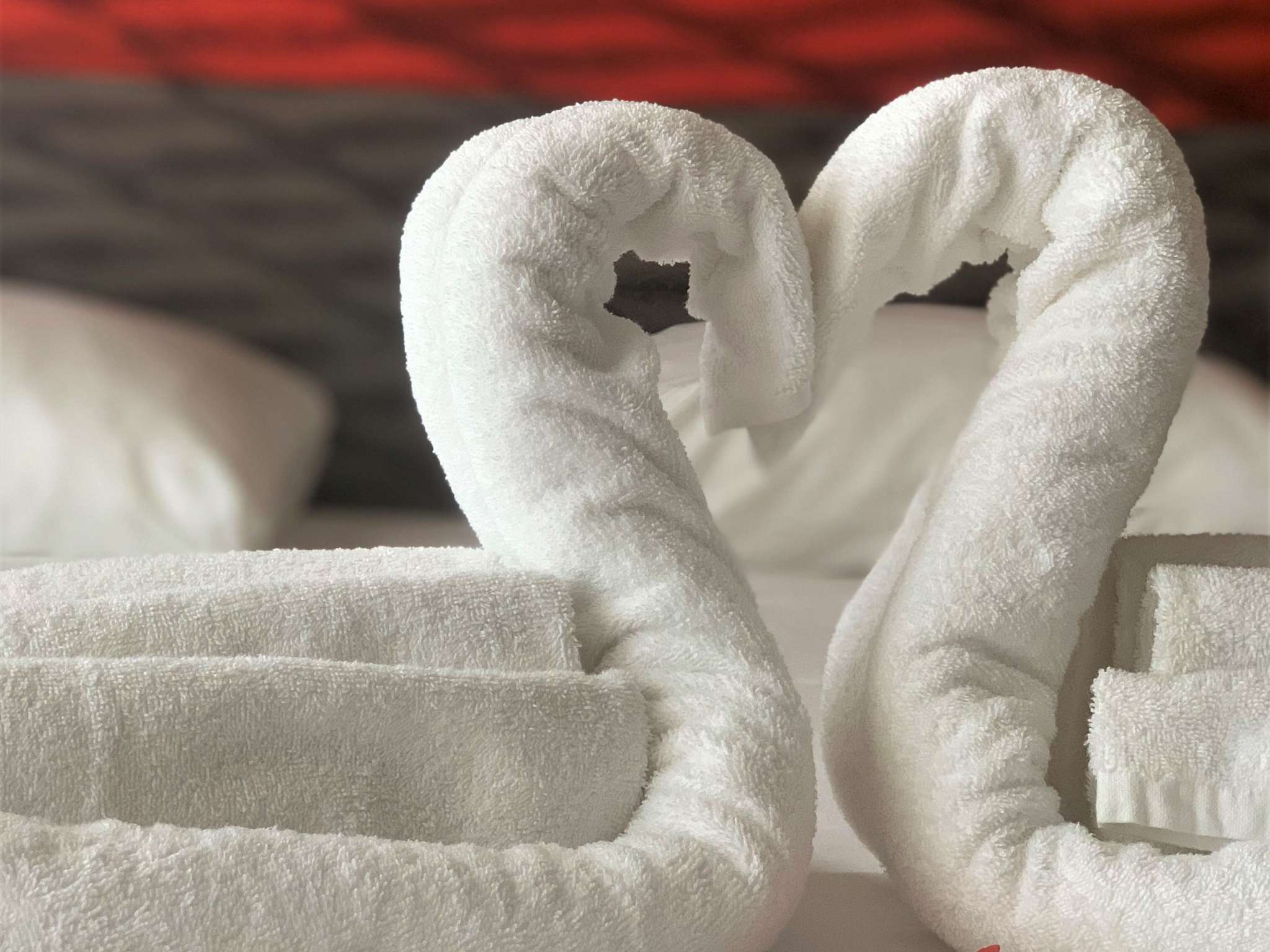 Foto - ibis Cannes Plage La Bocca