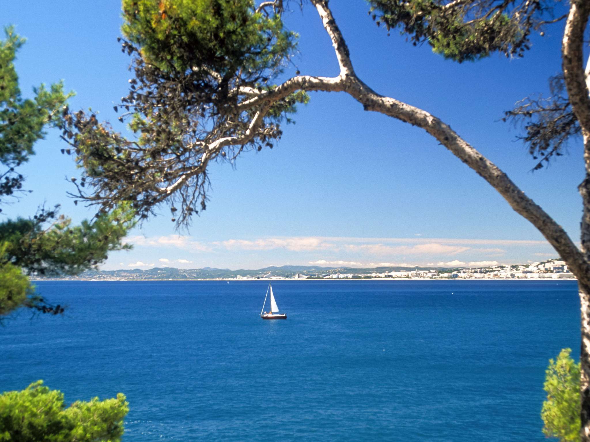 Foto - ibis Hyeres Centre