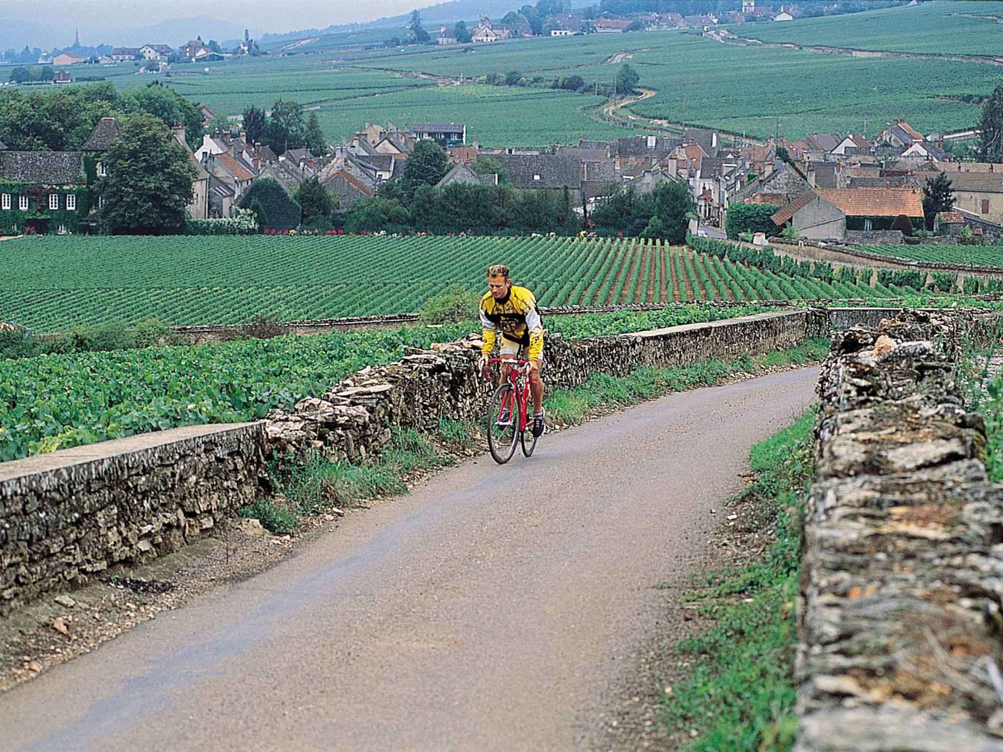 Foto - Novotel Beaune