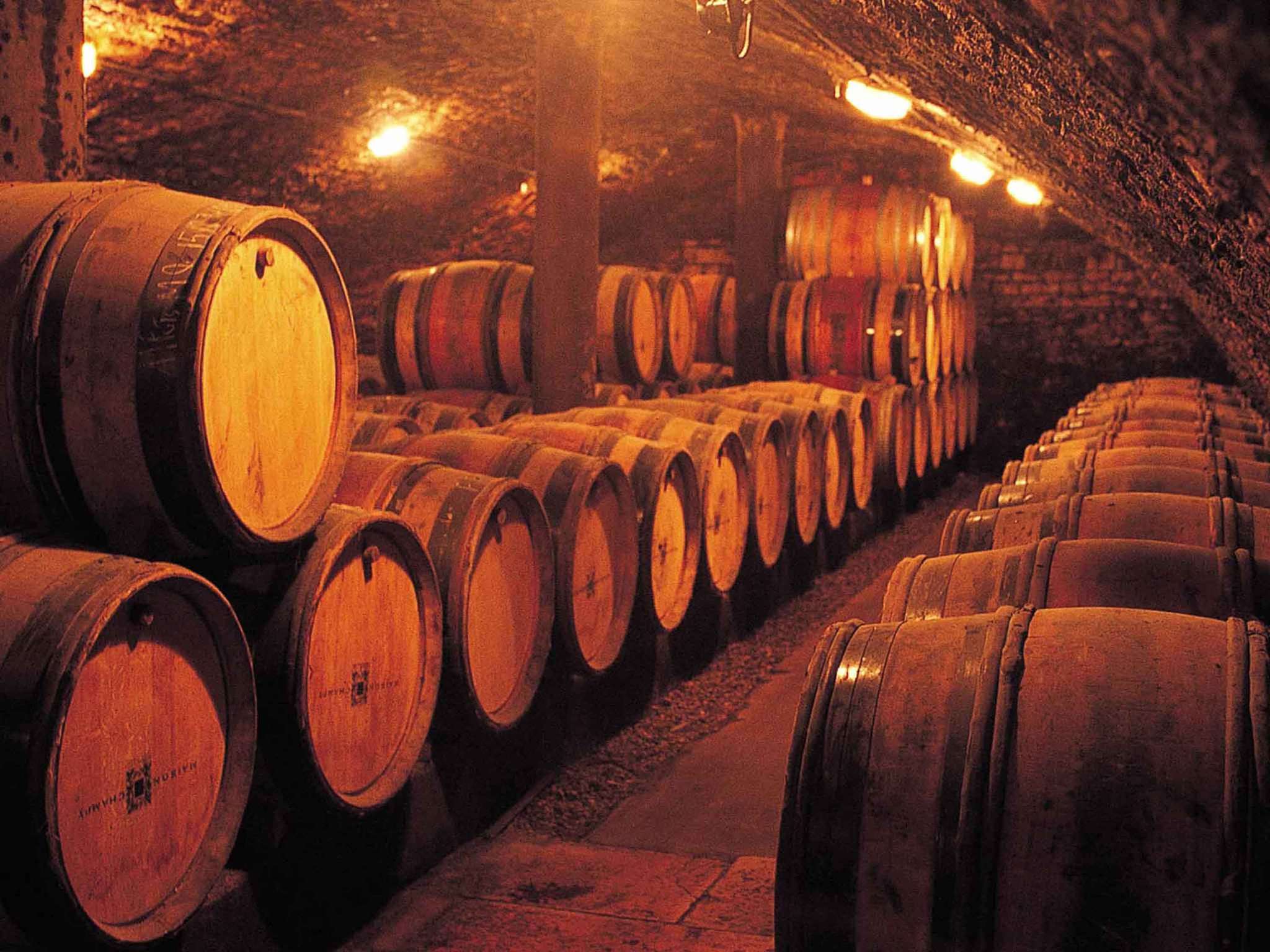 Foto - Novotel Beaune