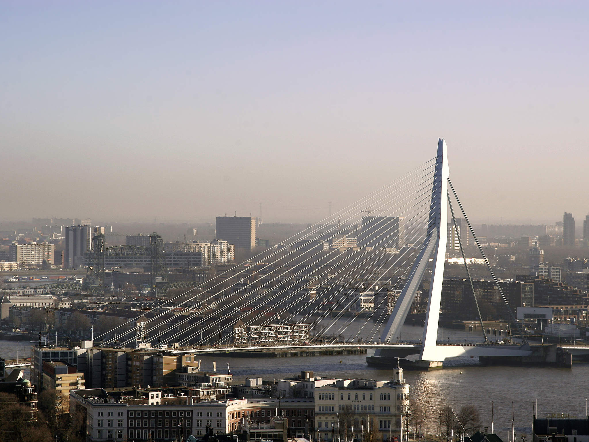 Photo - ibis Rotterdam Vlaardingen