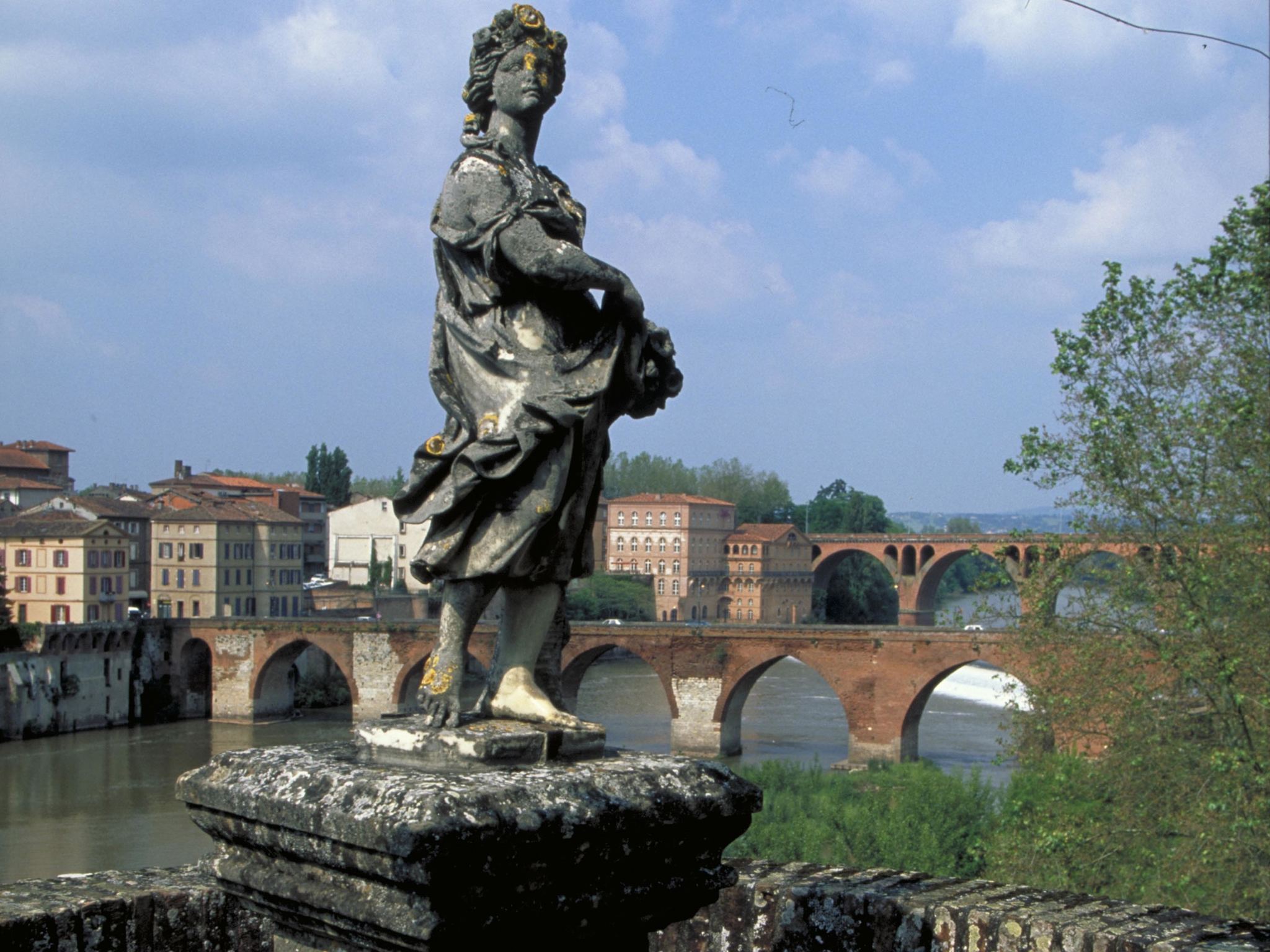 Photo - Mercure Albi Rives du Tarn