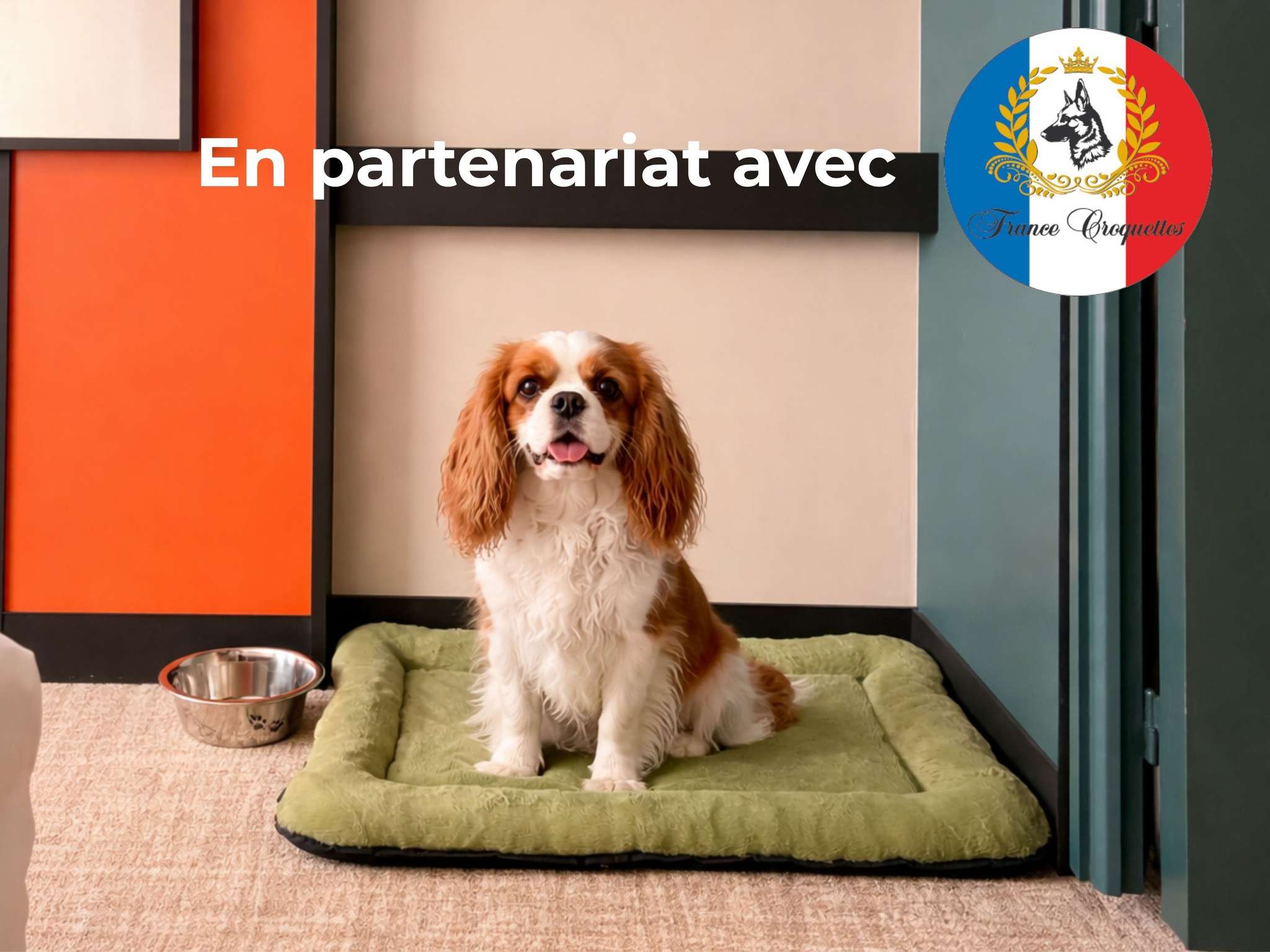Photo - Mercure Dijon Centre Clemenceau