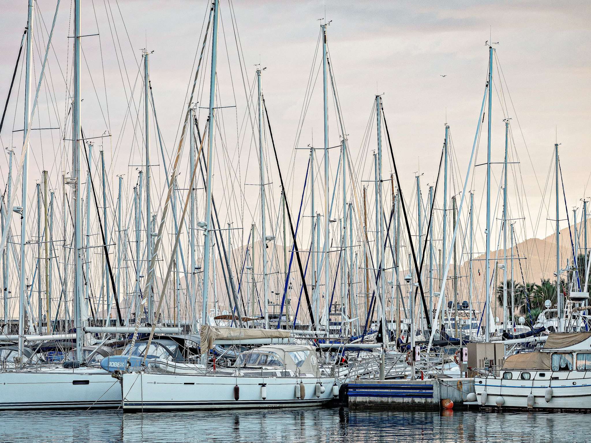 Foto - Mondrian Cannes