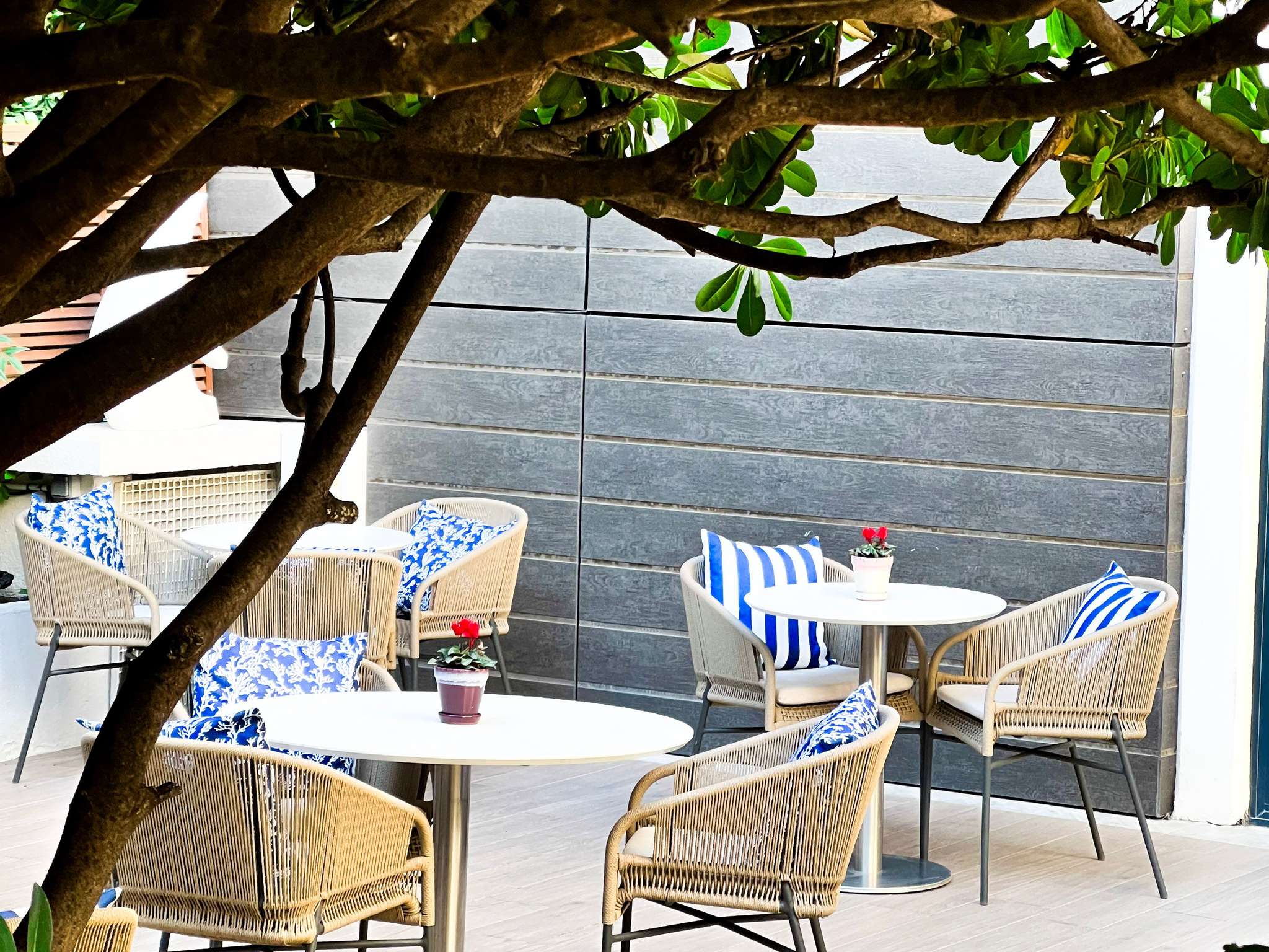 Foto - Mondrian Cannes