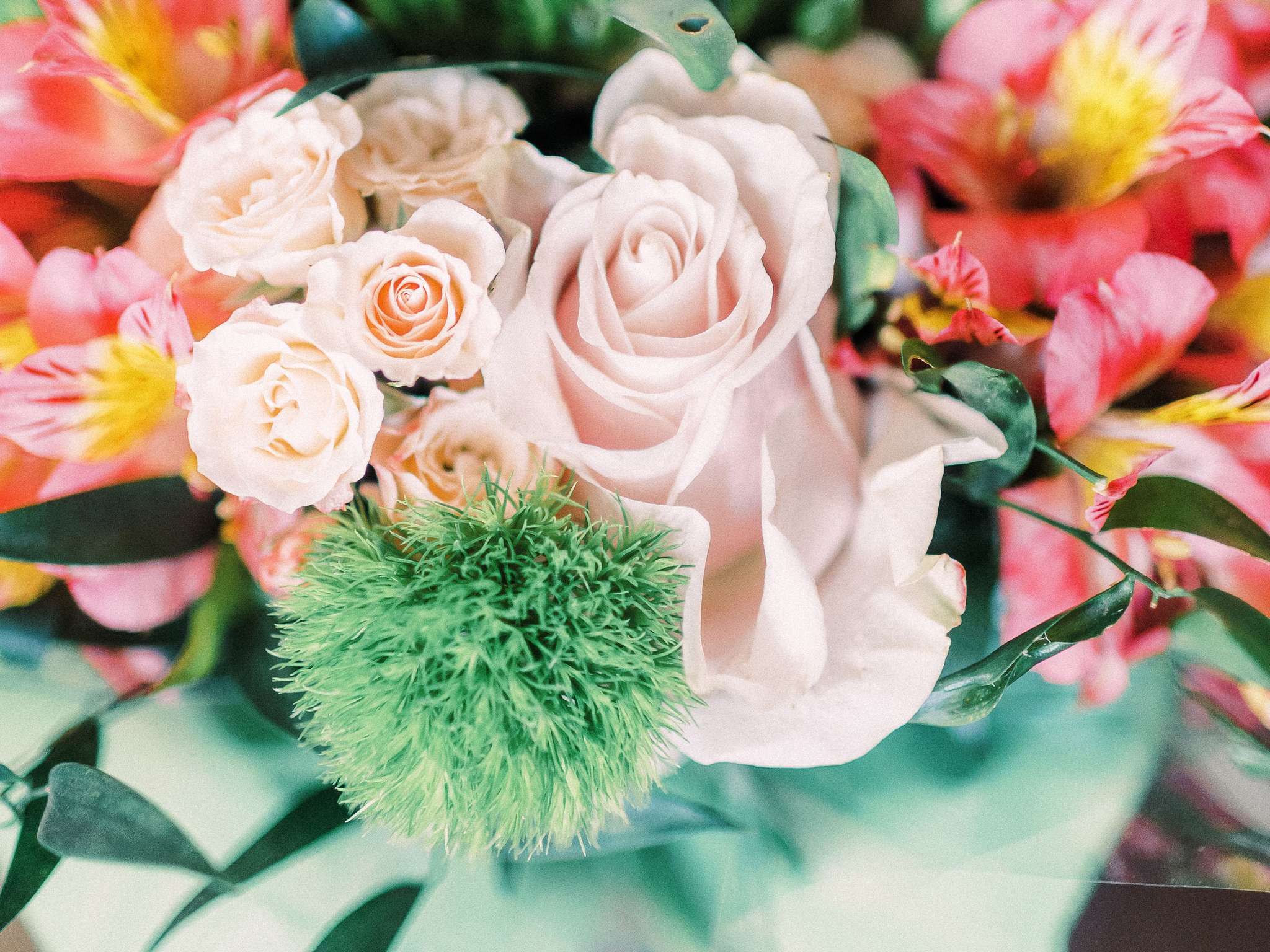 Foto - Papadopoli Hotel Venezia - MGallery Collection