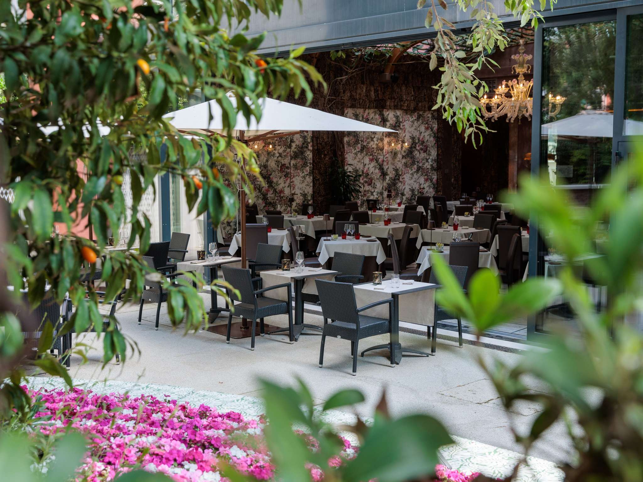 Foto - Papadopoli Hotel Venezia - MGallery Collection