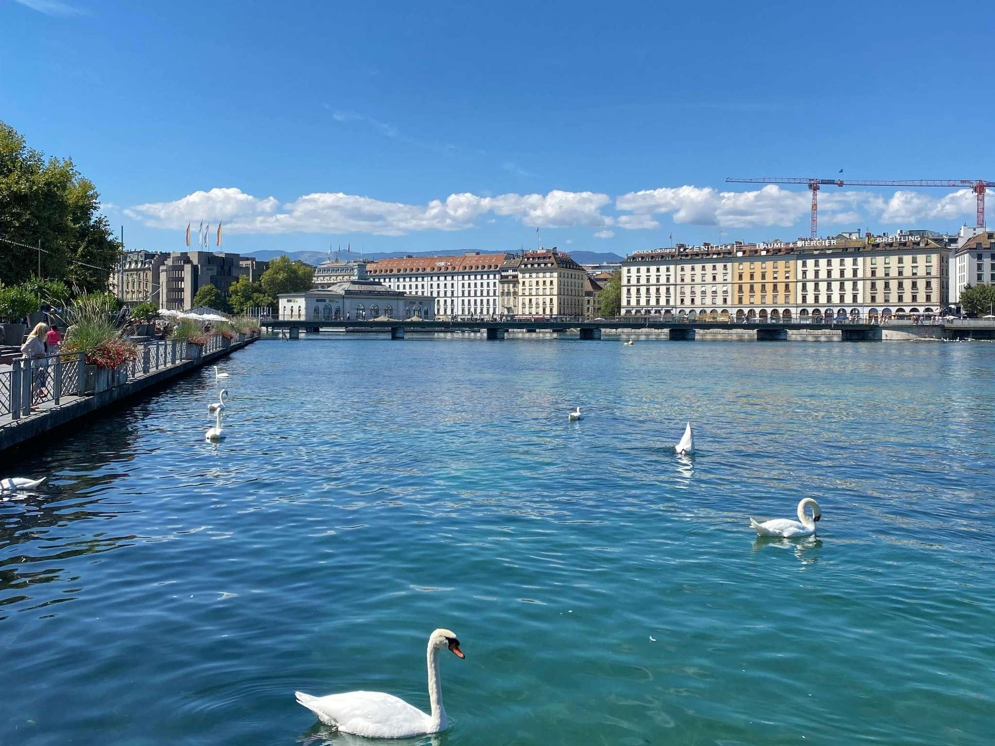 Photo - Hotel Rotary Geneva - MGallery