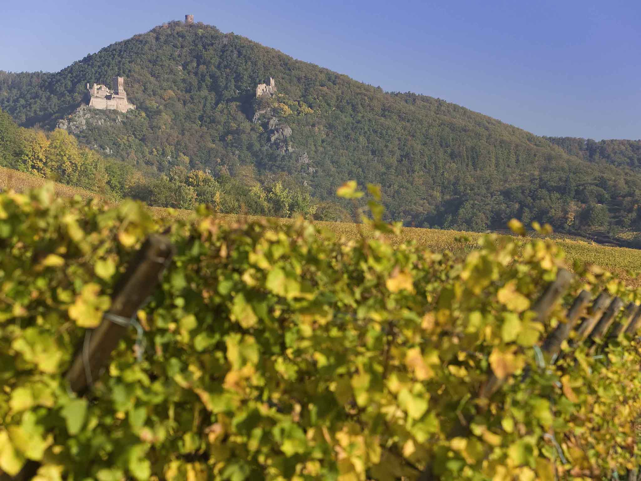 Foto - ibis Colmar Centre