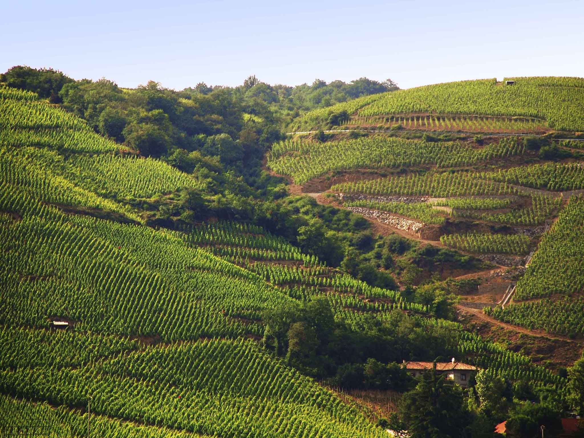 Photo - ibis budget Vienne Sud