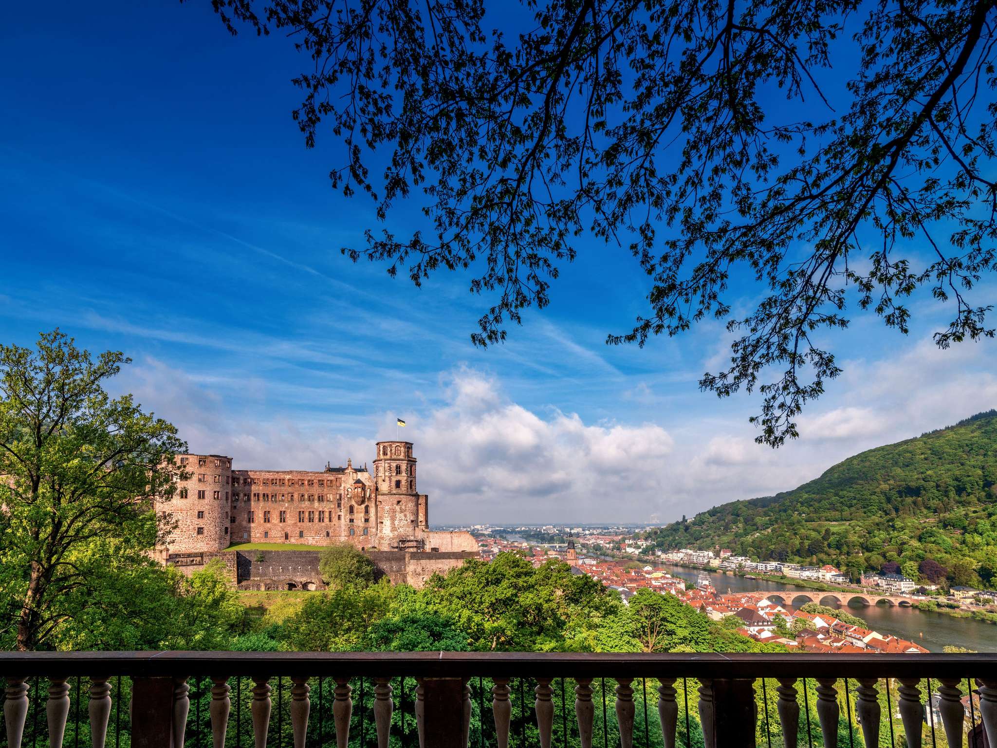 Foto - ibis Heidelberg Hauptbahnhof