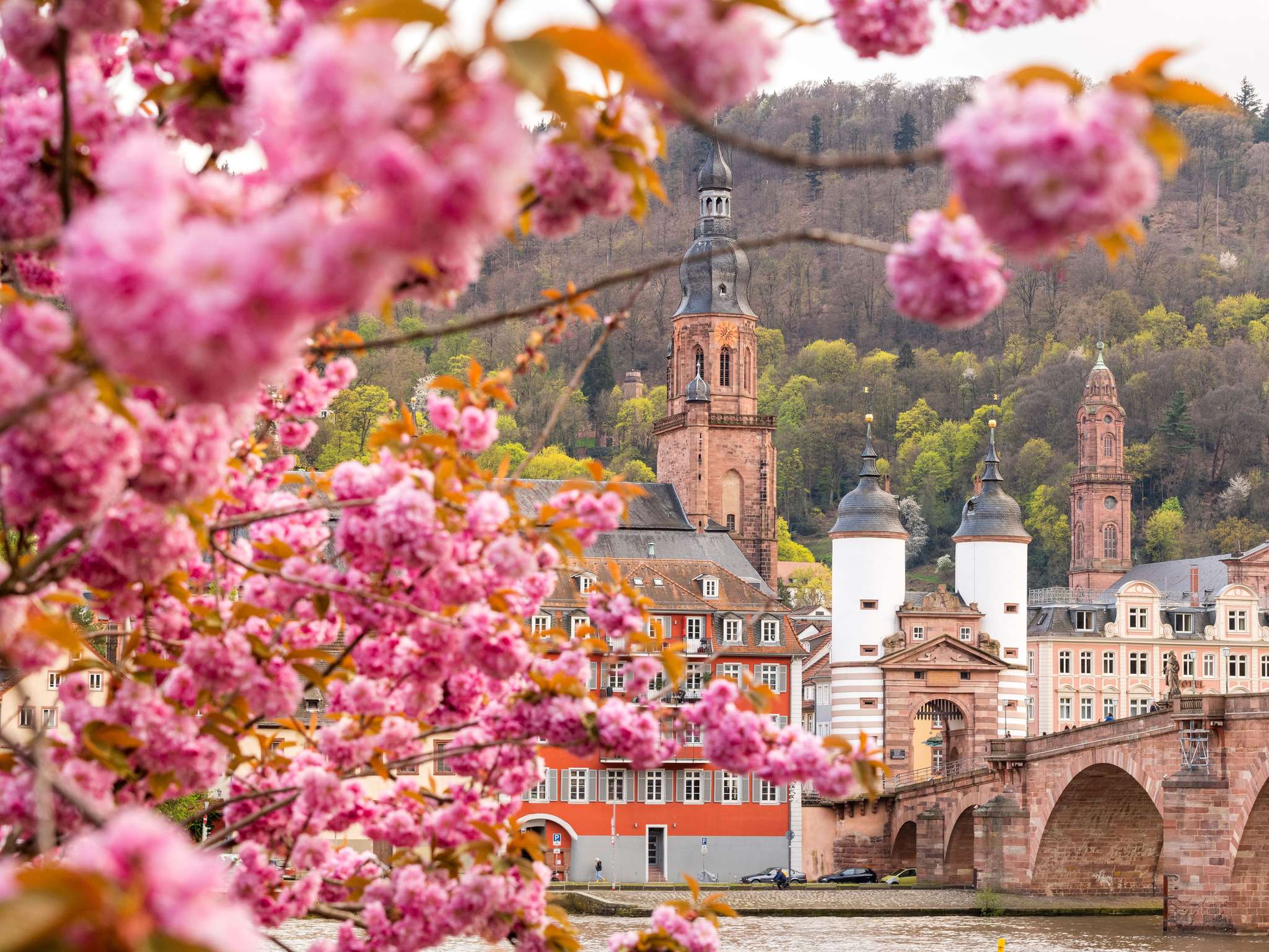 Foto - ibis Heidelberg Hauptbahnhof