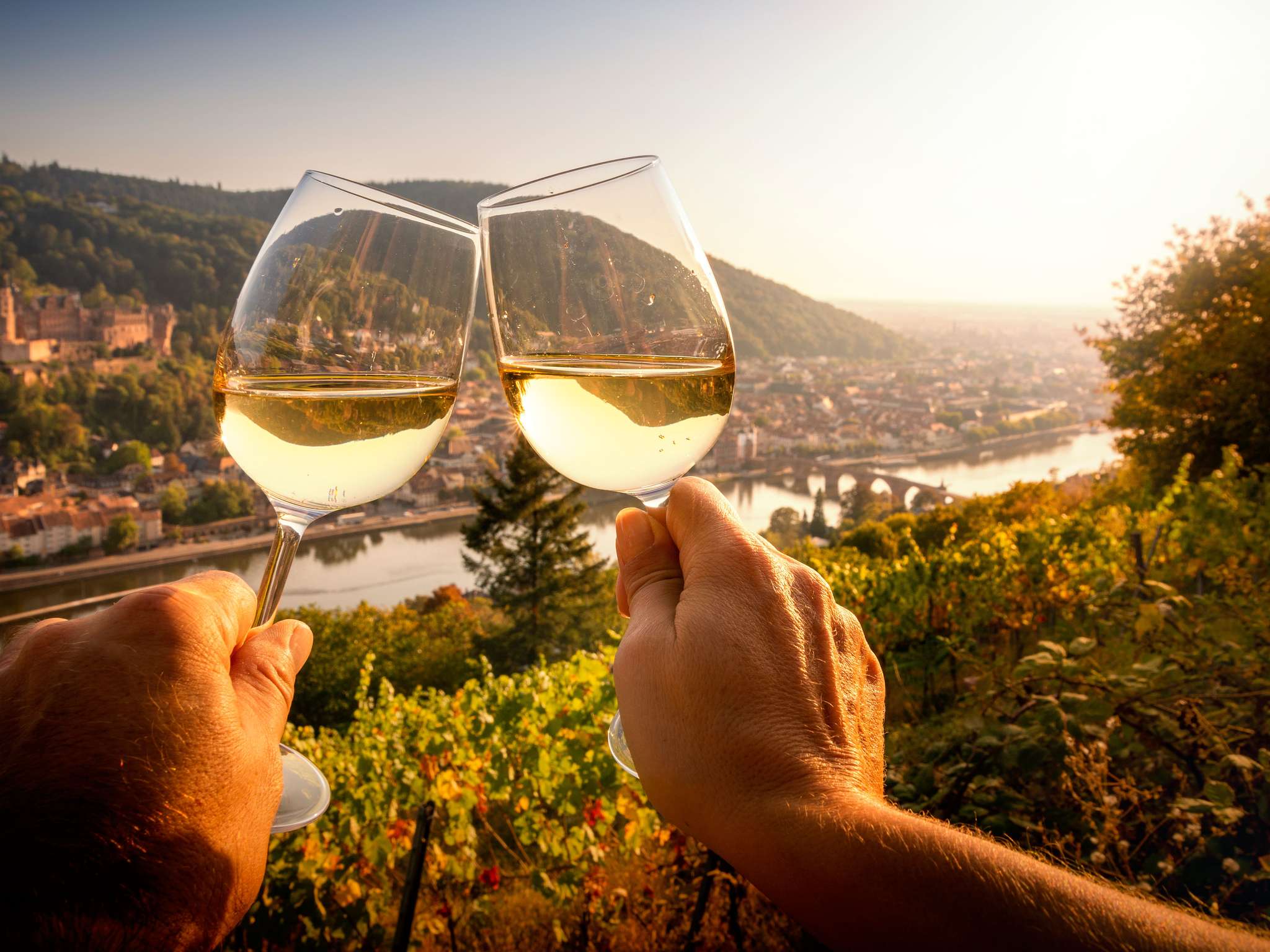 Foto - ibis Heidelberg Hauptbahnhof