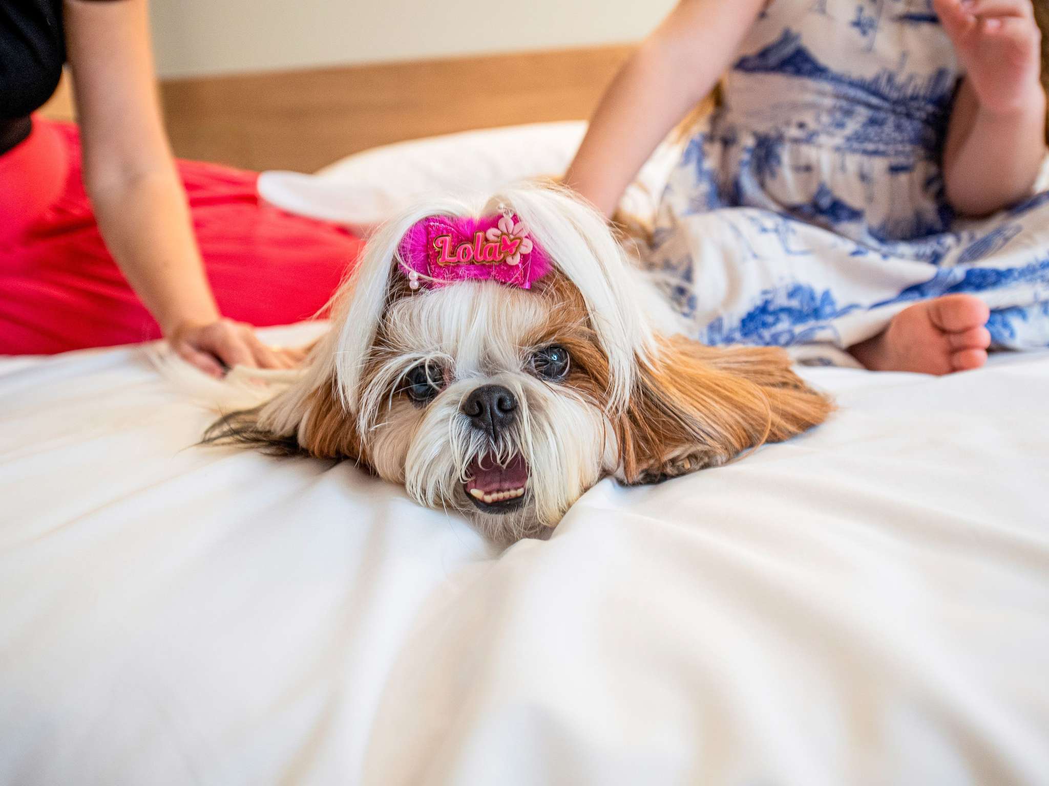 Foto - ibis Heidelberg Hauptbahnhof