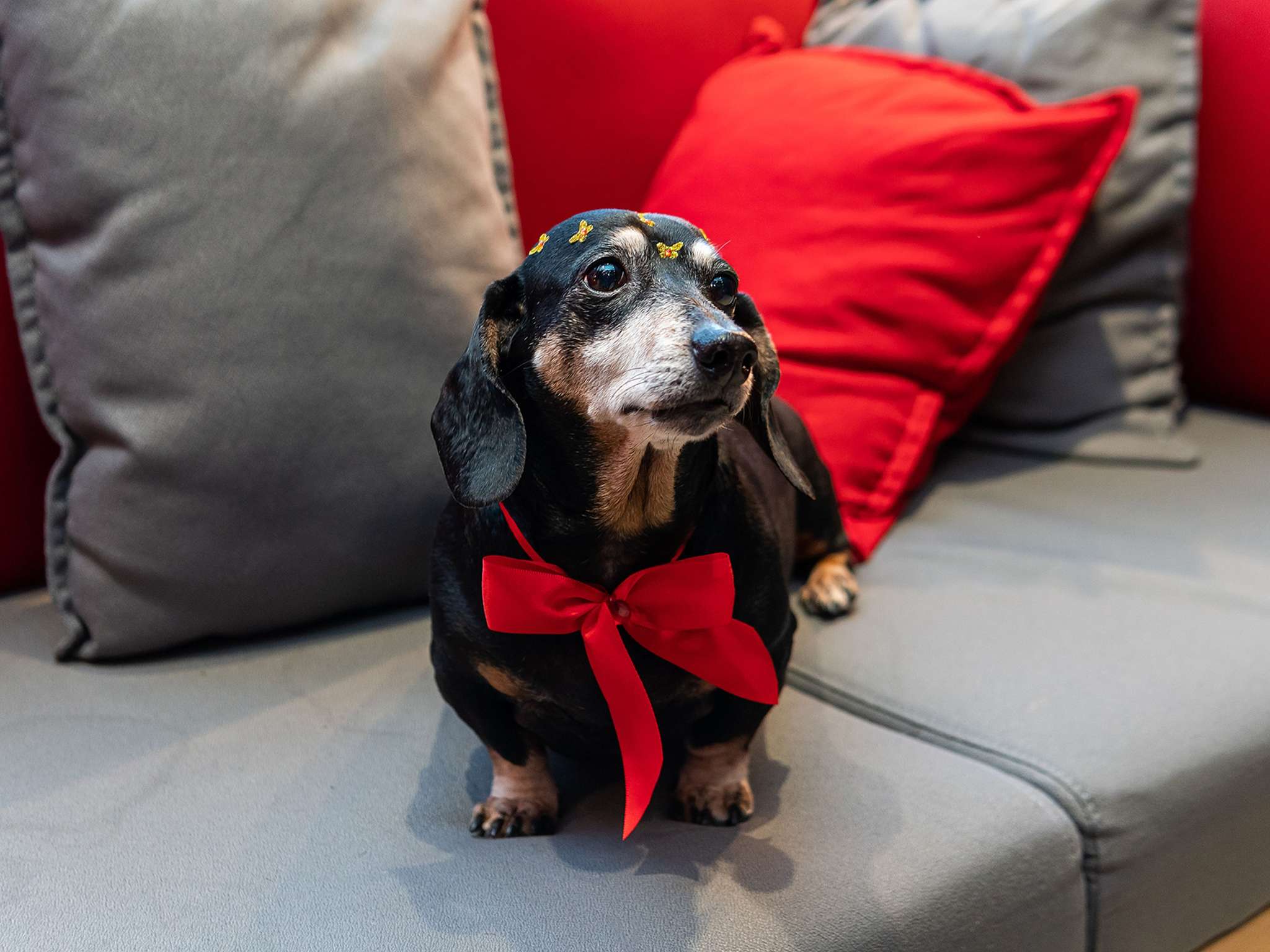 Foto - ibis Heidelberg Hauptbahnhof