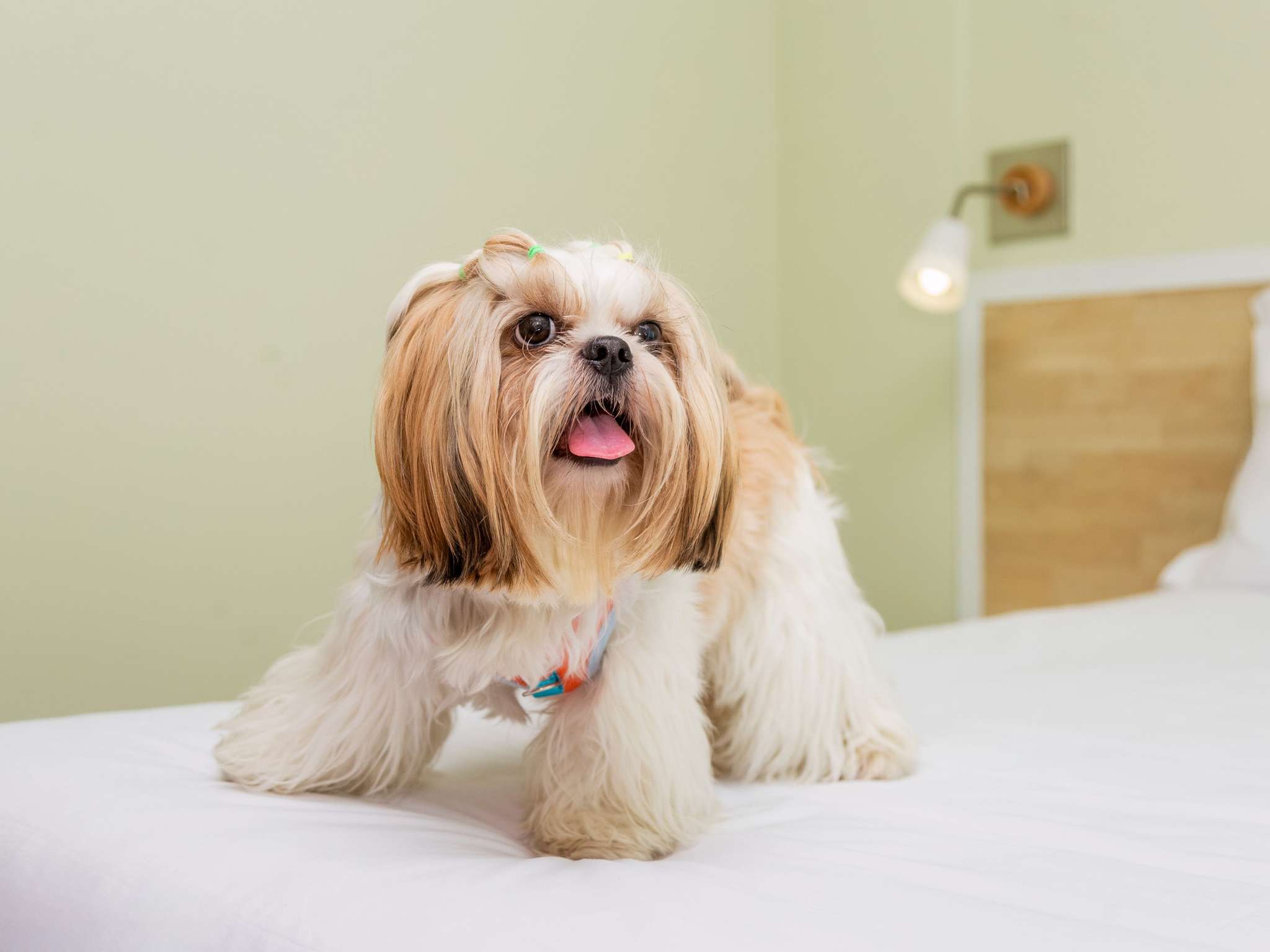 Foto - ibis Heidelberg Hauptbahnhof