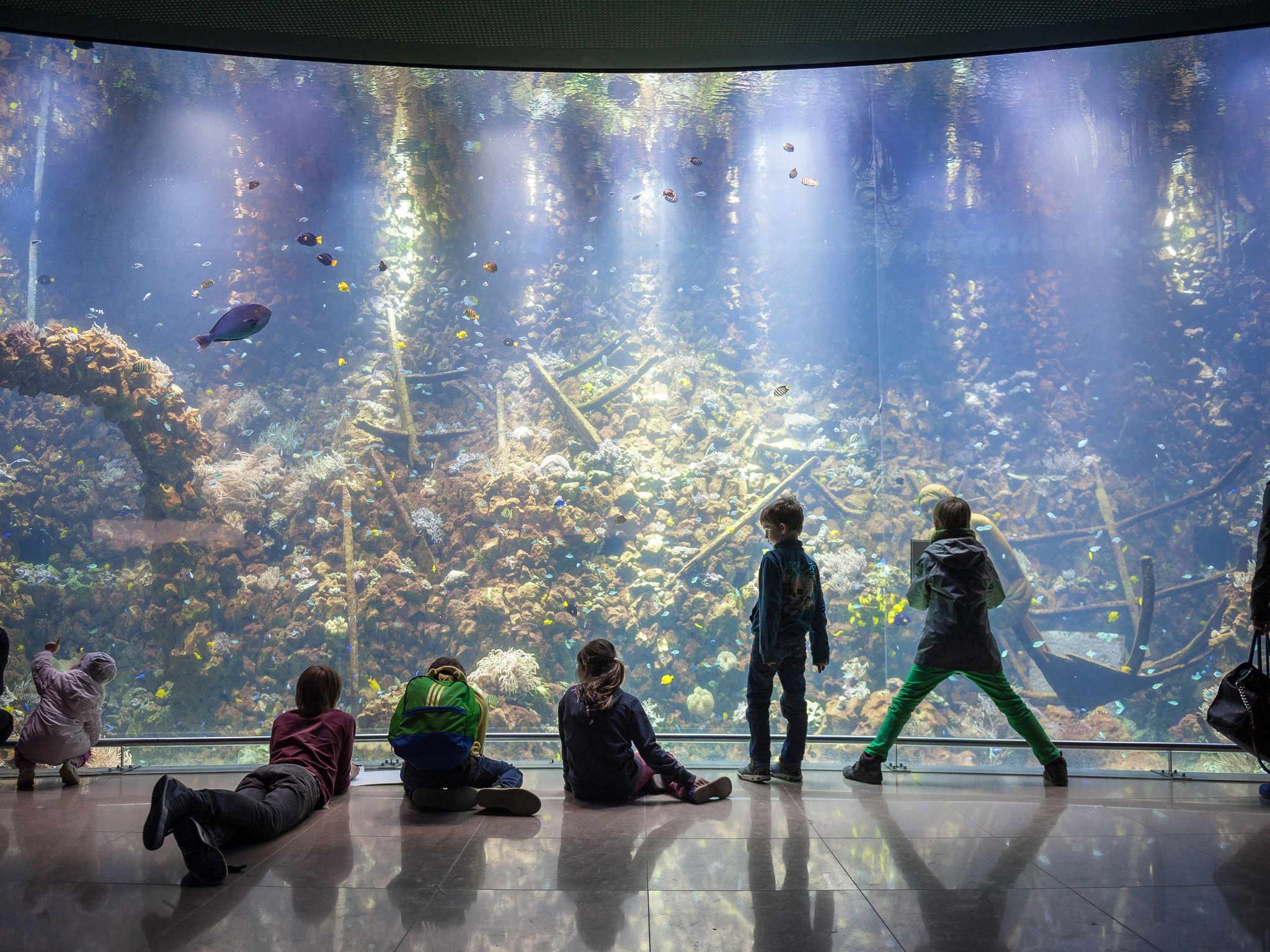 Foto - ibis Antwerpen Centrum