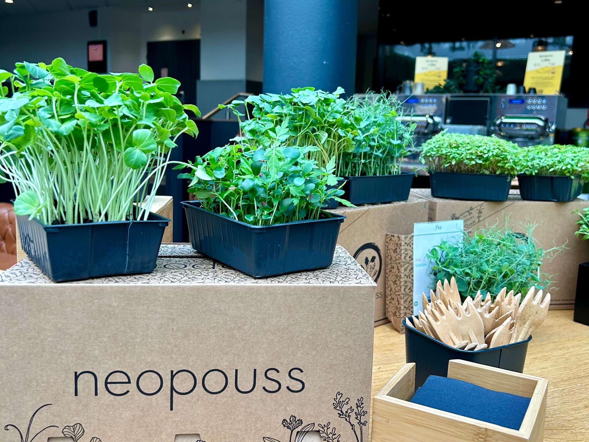 Foto - Hotel Mercure Toulouse Centre Compans