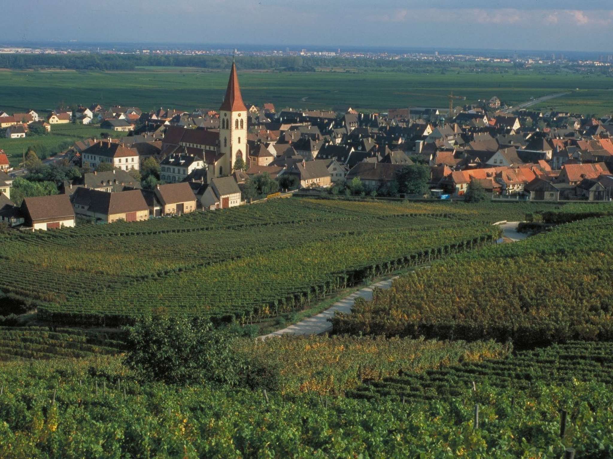 Foto - ibis Strasbourg Aéroport Le Zénith