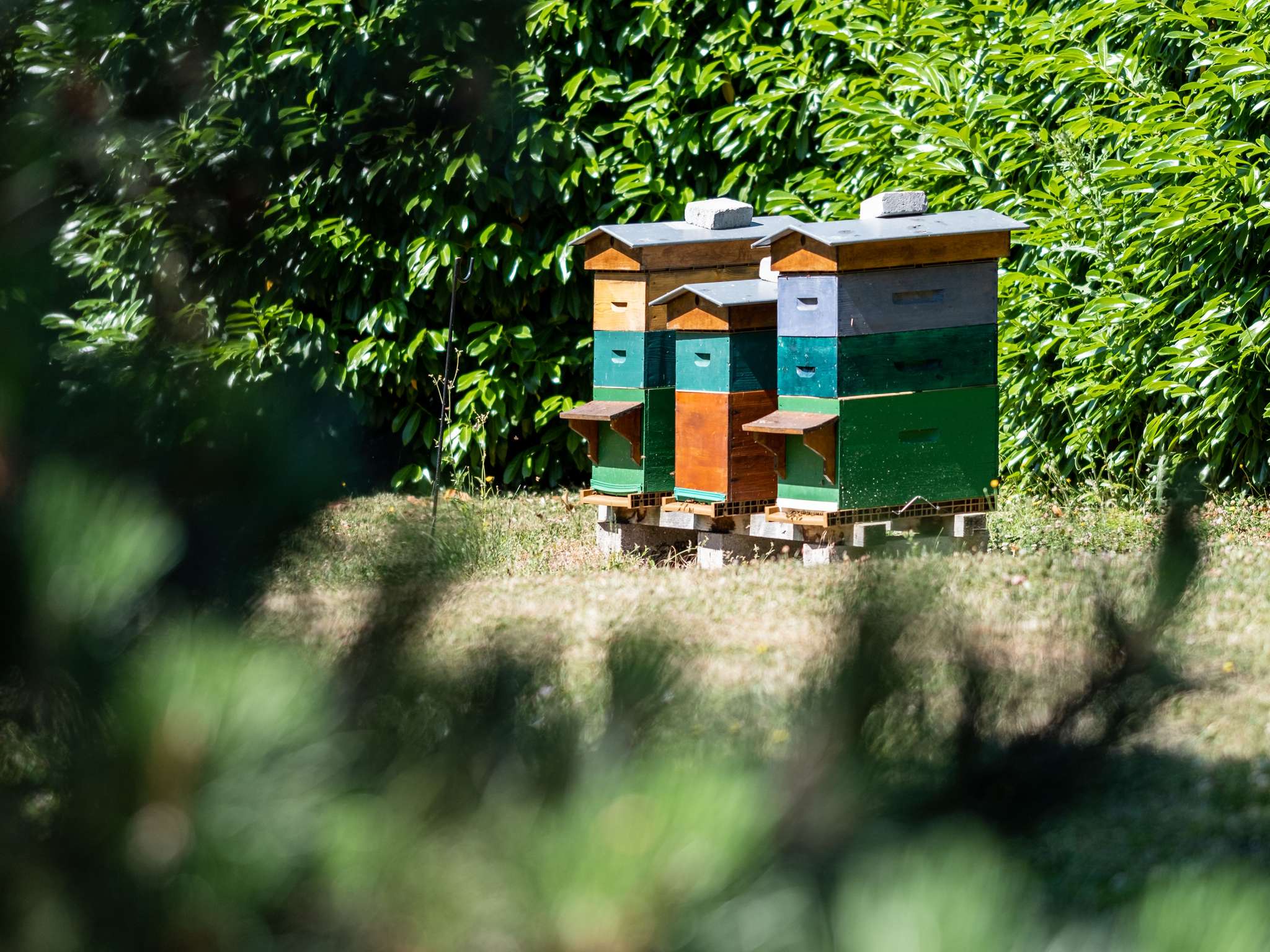 Foto - Mercure Compiègne Sud