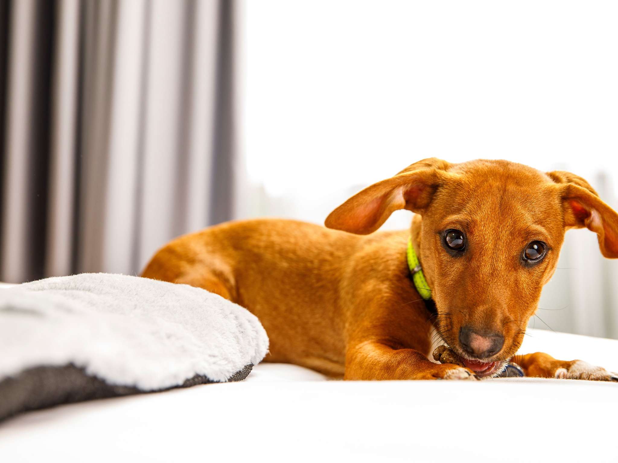 Photo - ibis Hotel Hannover Medical Park