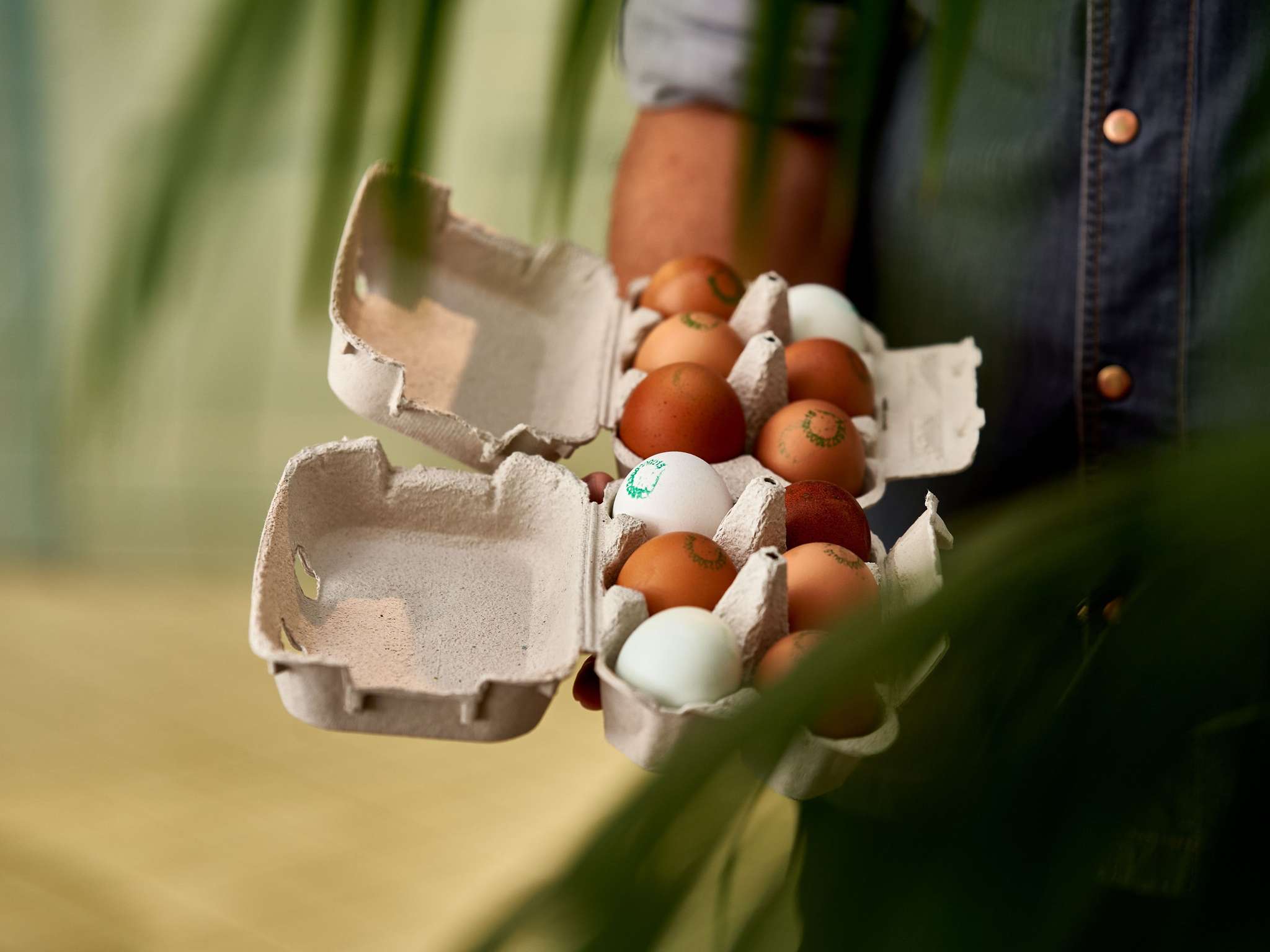 Foto - Novotel Campo De Las Naciones