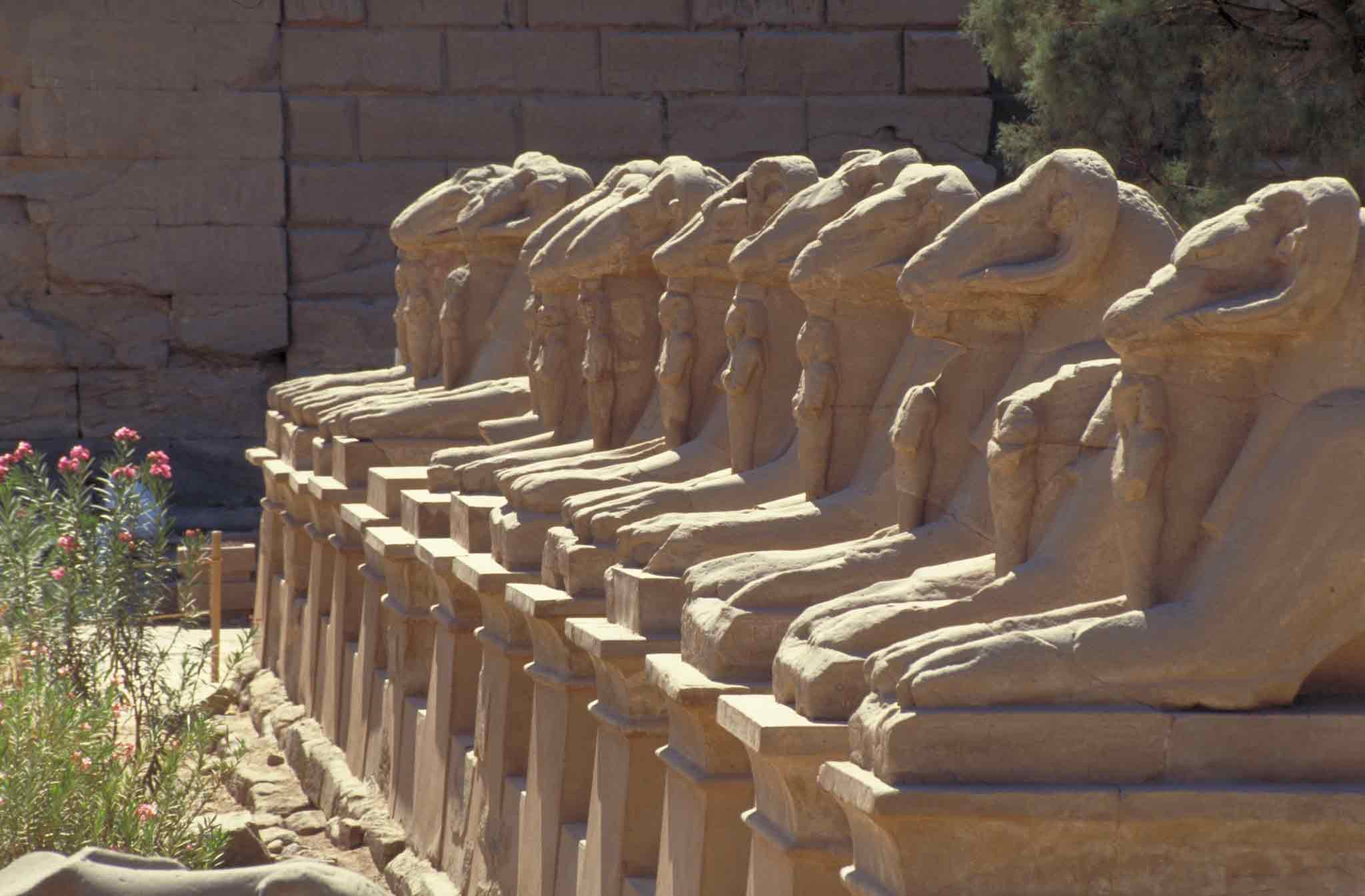 Foto - Pavillon Winter Luxor