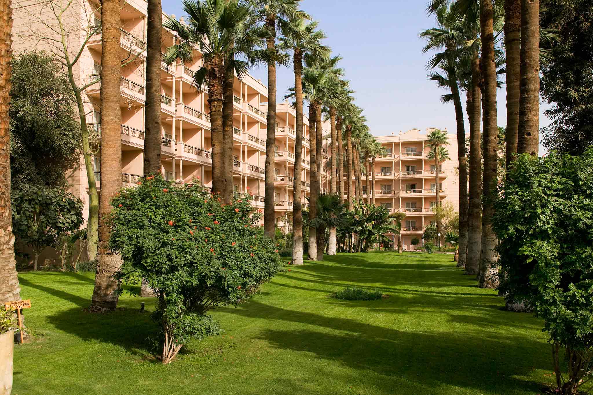 Foto - Pavillon Winter Luxor