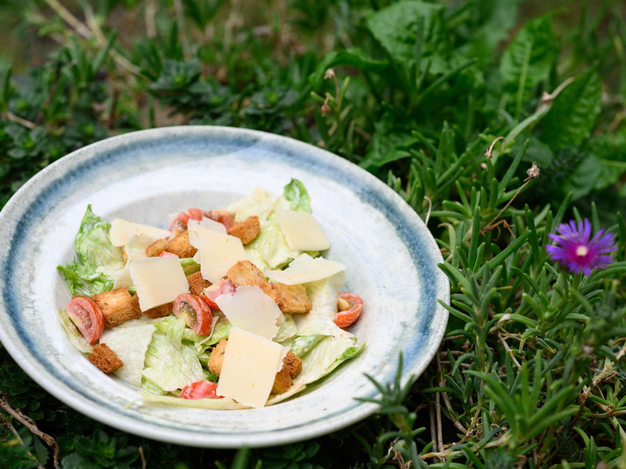 Foto - Ibis Budapest Citysouth