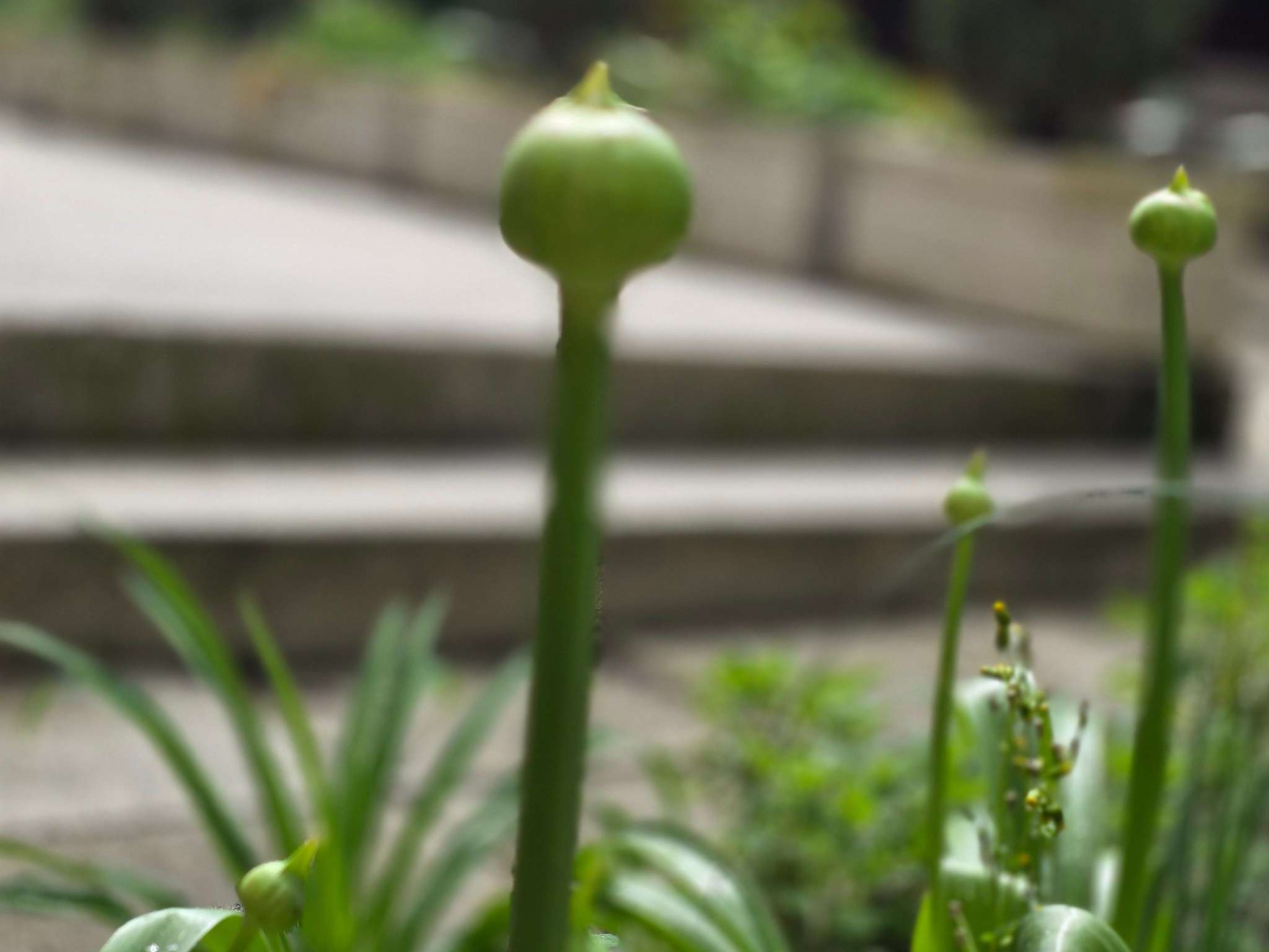 Foto - Ibis Budapest Citysouth