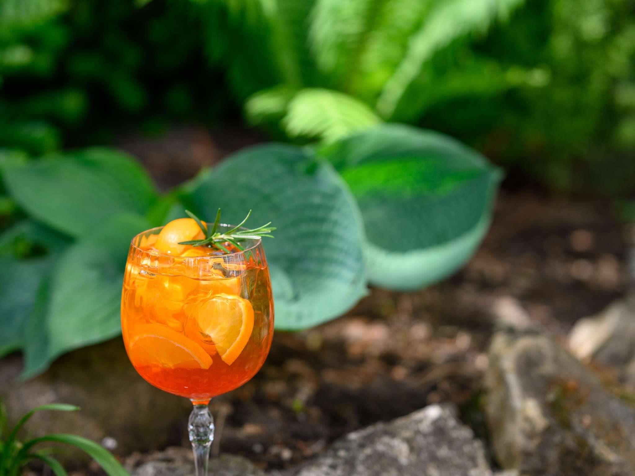 Foto - Ibis Budapest Citysouth