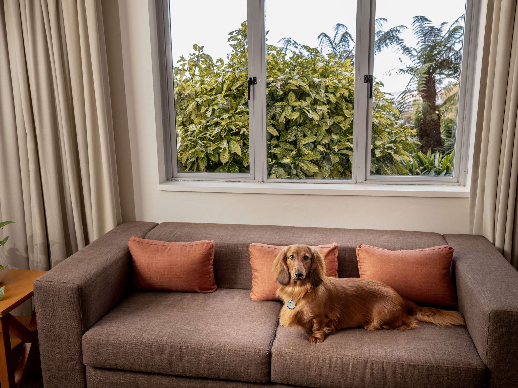 Photo - Nemzeti Hotel Budapest - MGallery Collection