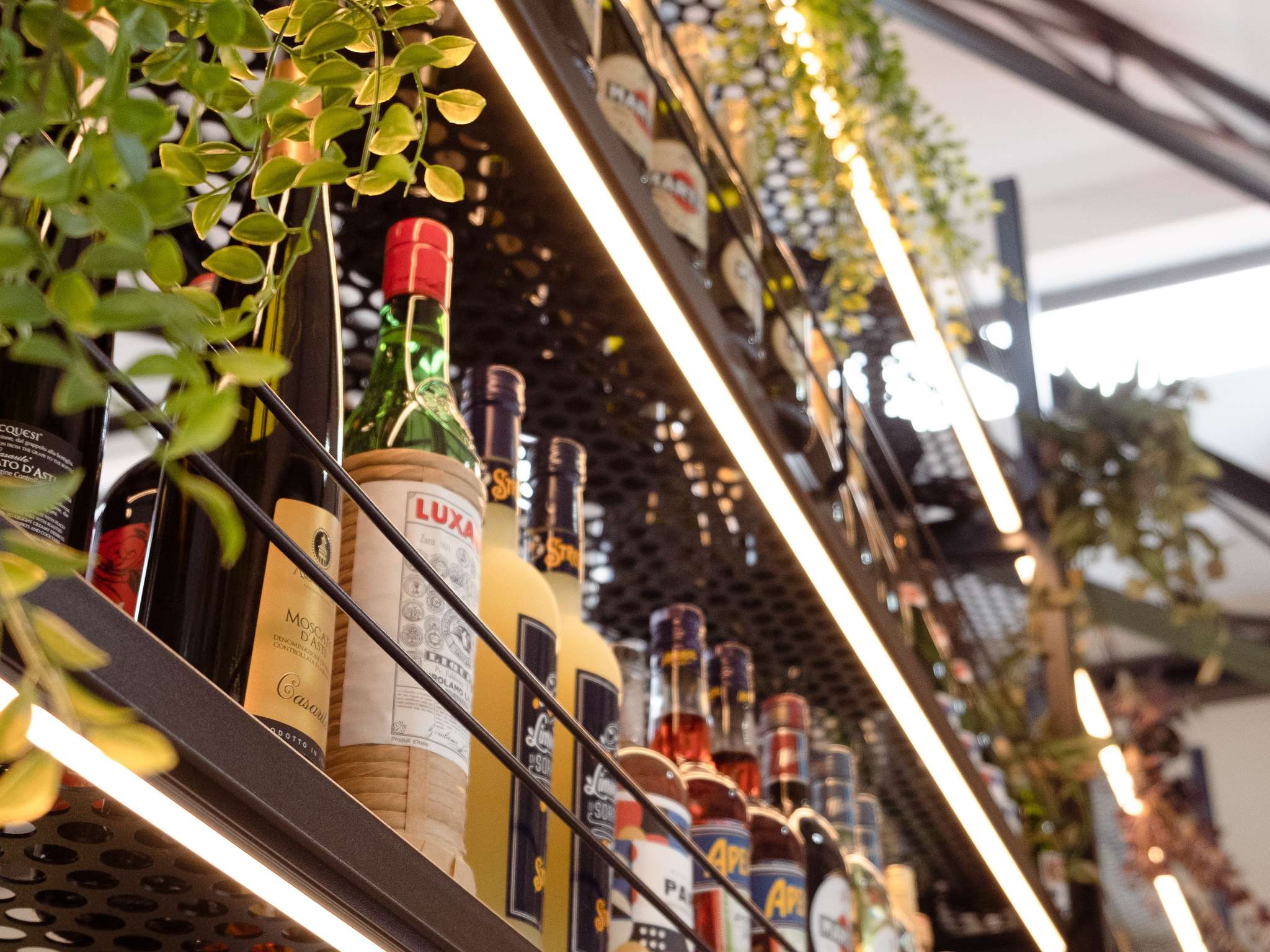 Photo - ibis budget Montauban Les Chaumes